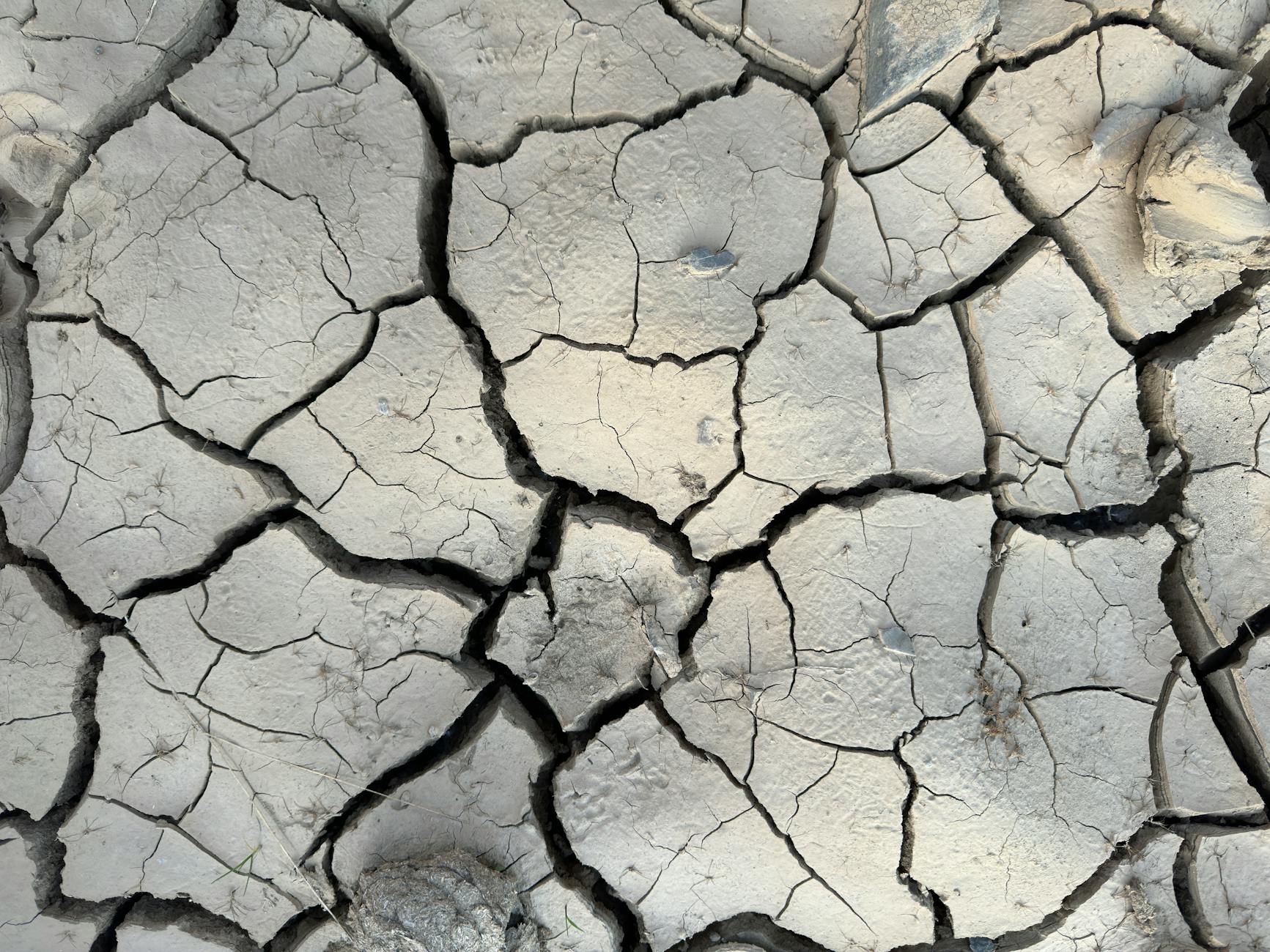 Dry Skin, Brittle Hair