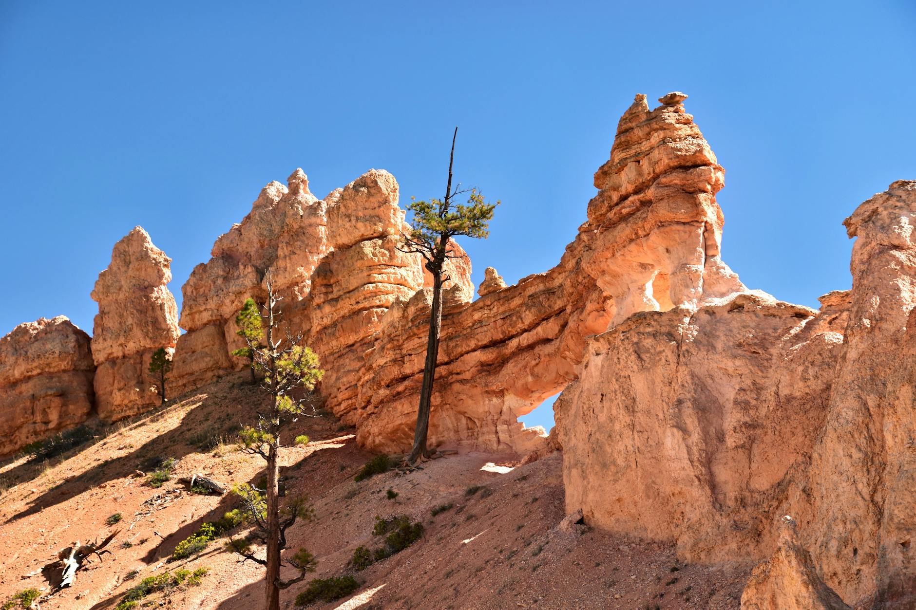 Removing Rocks National Park