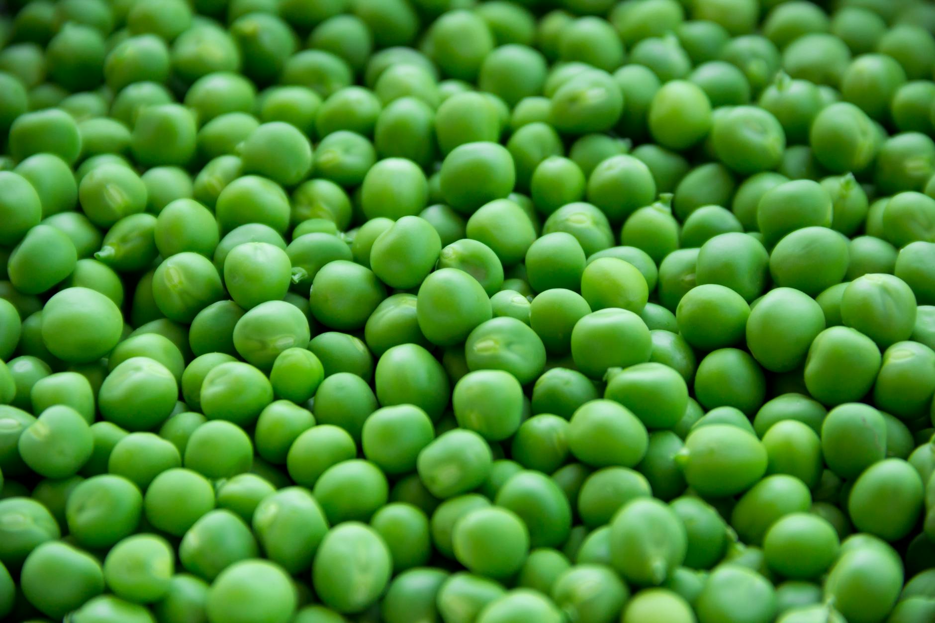 Green Peas Food