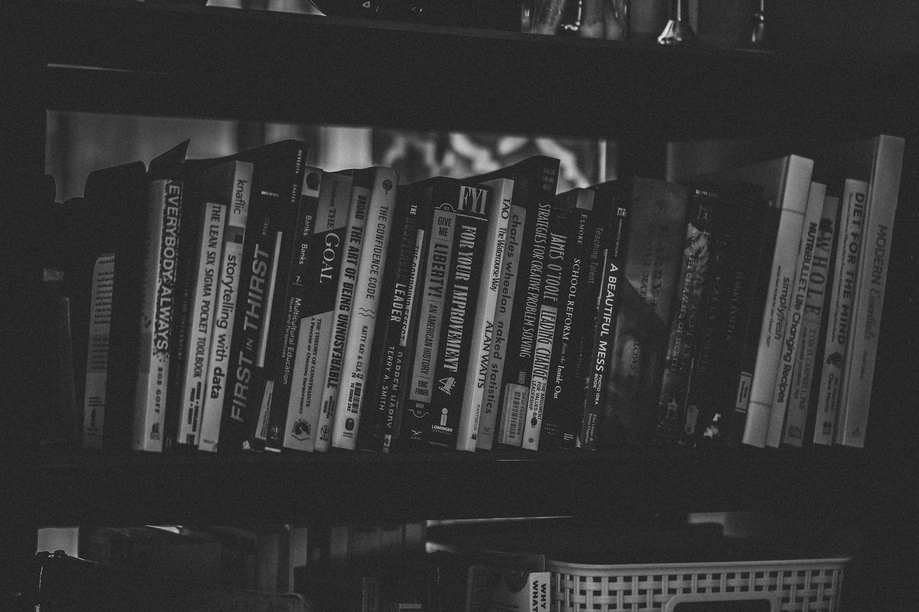 Bookshelves Home