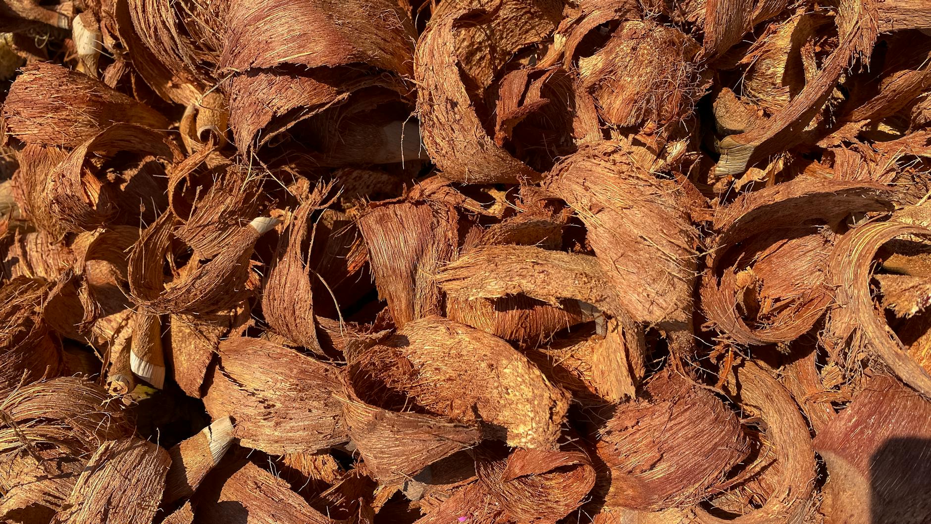 Peat-Free Compost Product