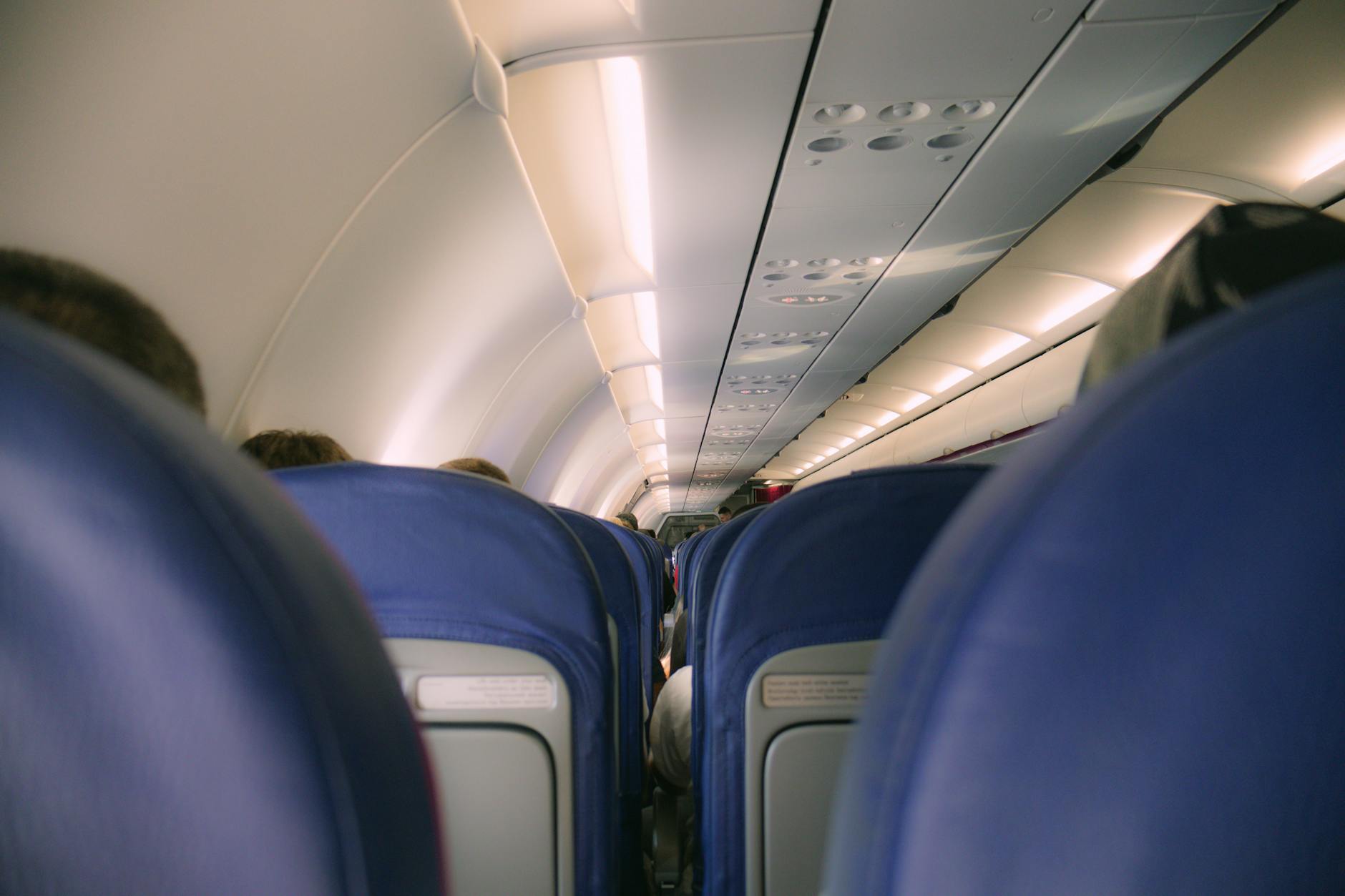 plane cabin row