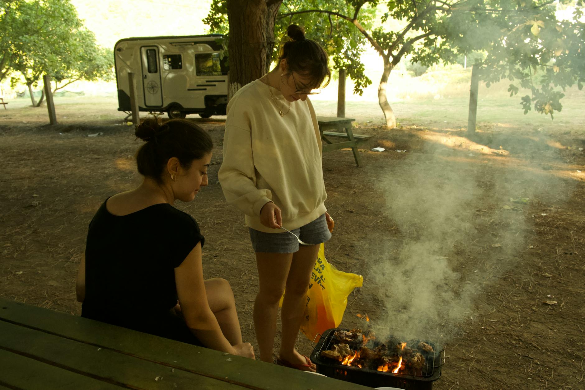 Barbecuing In Park