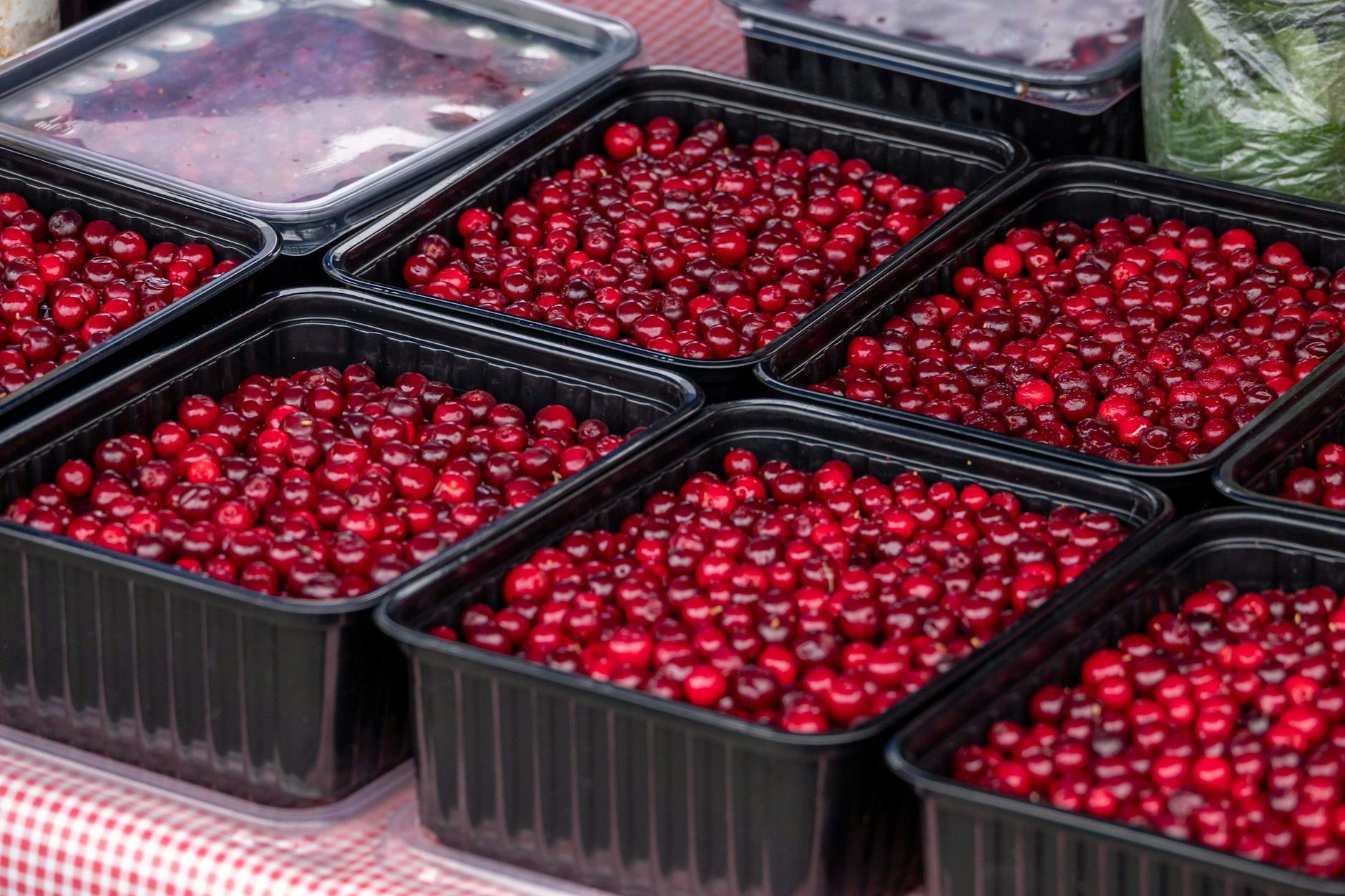 Cranberries Food