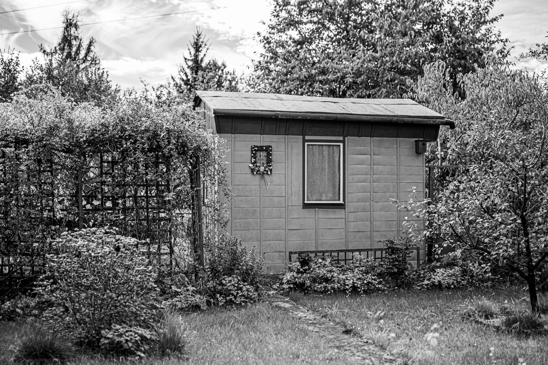Garden Shed