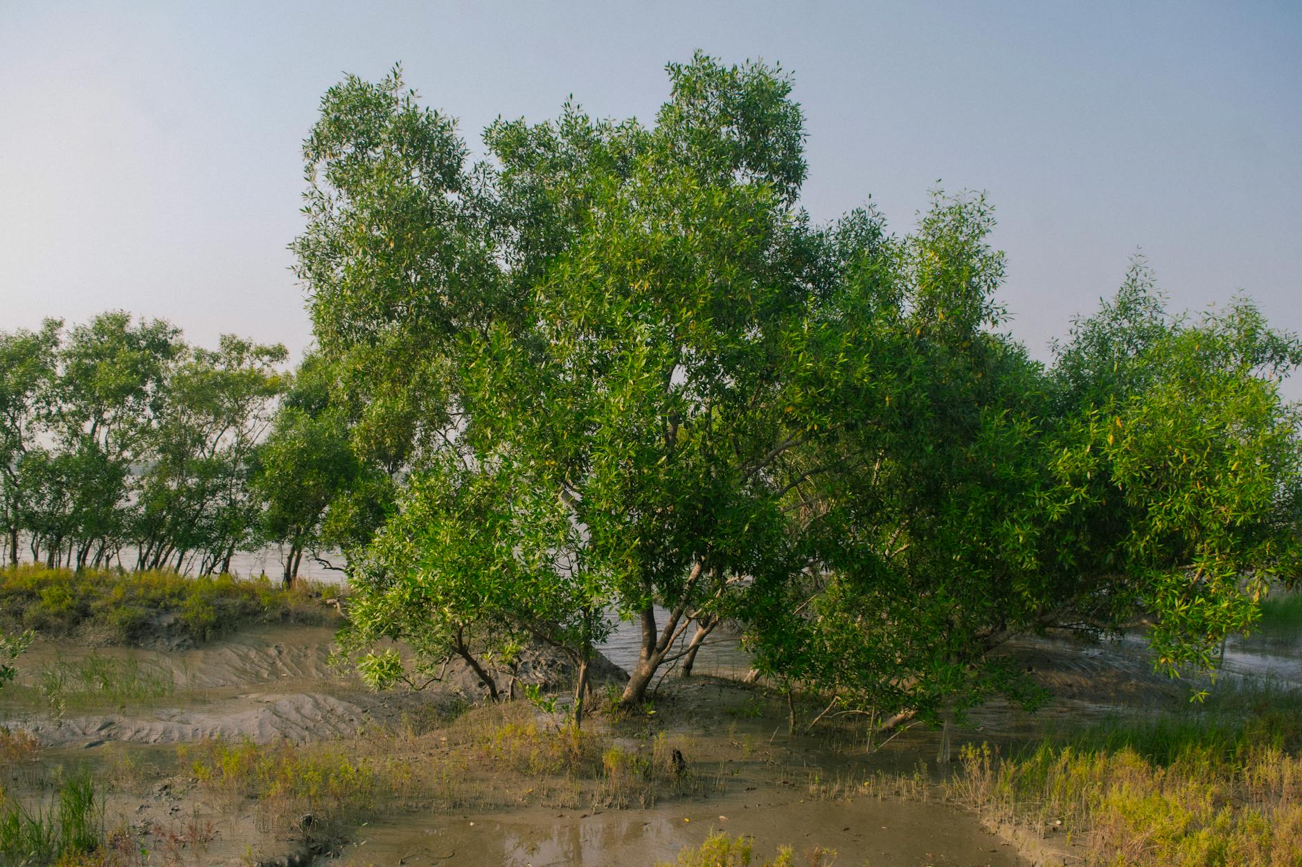 Sundarbans Places