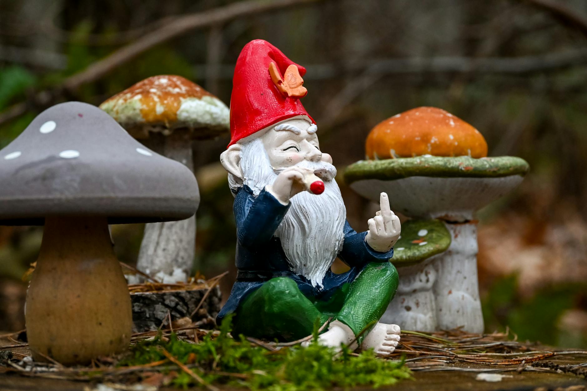 Garden Gnomes