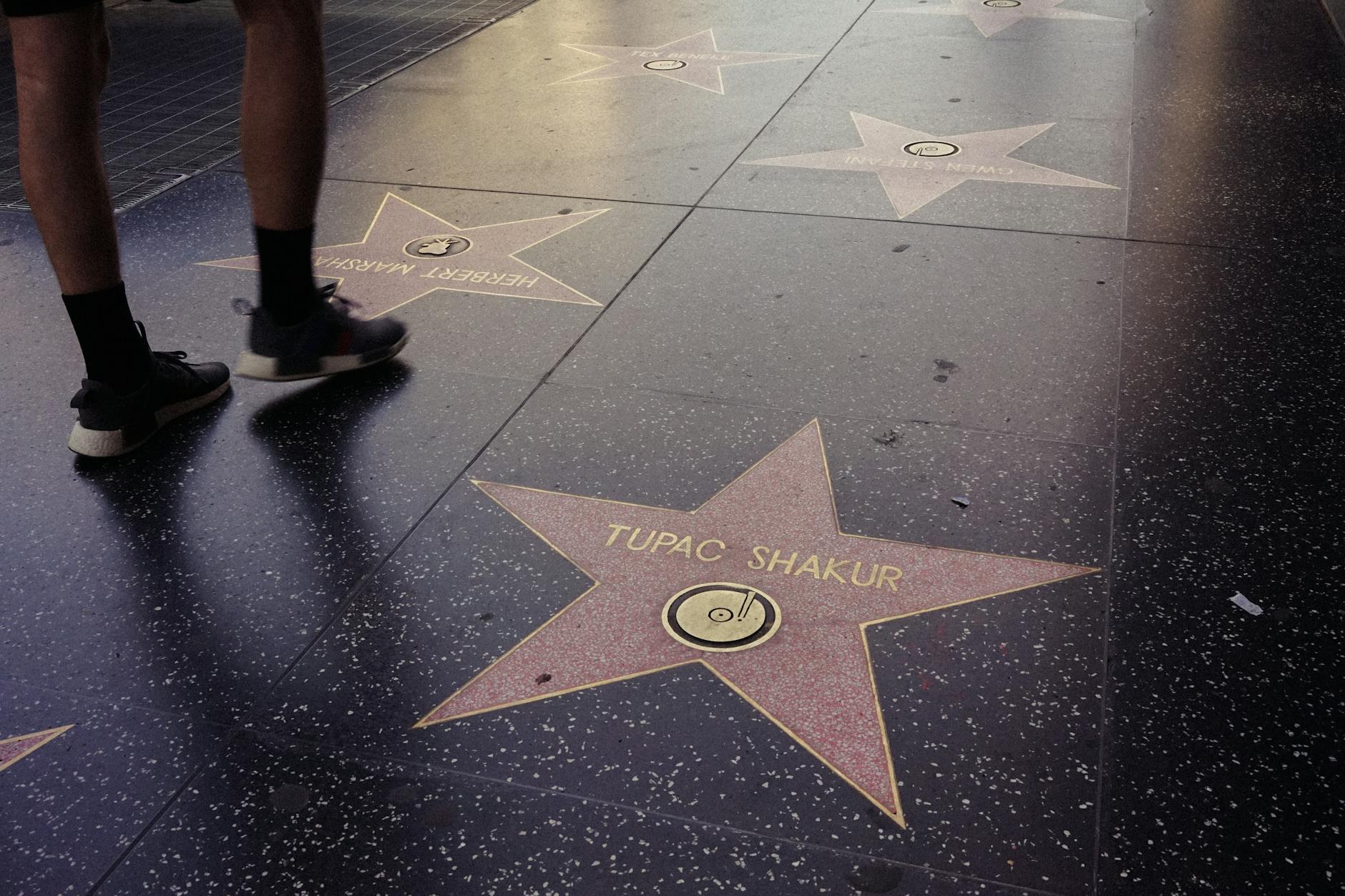 Hollywood Walk Of Fame Attraction