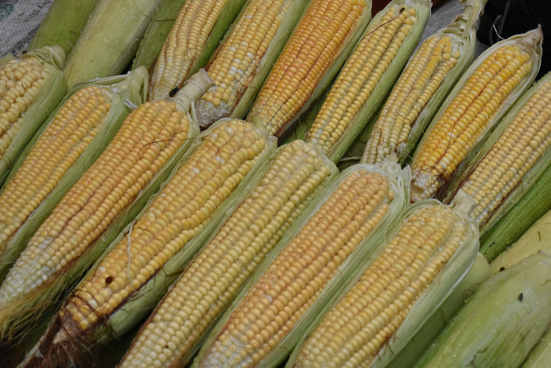 Corn Stripper Gadget