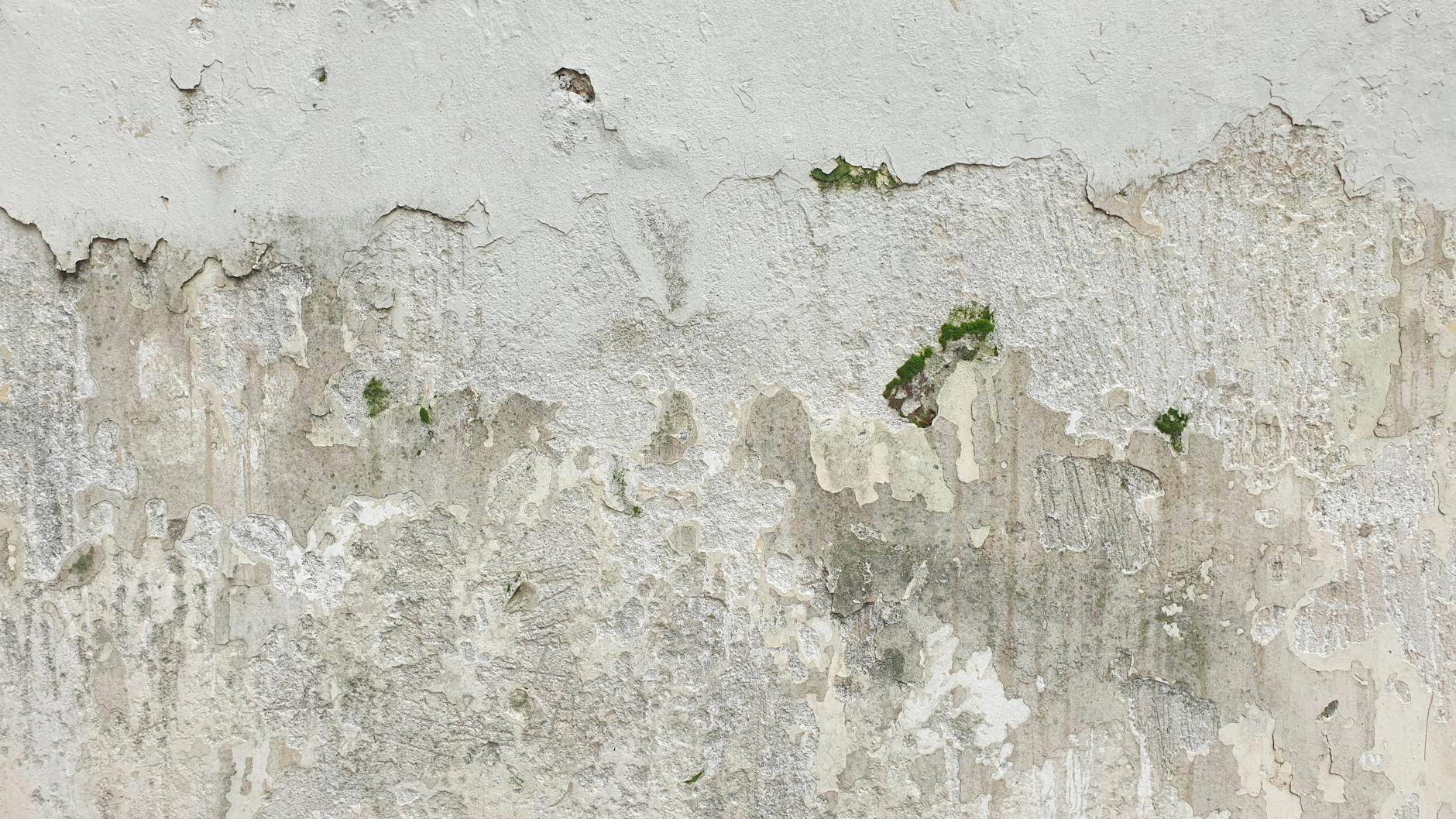 Wall texture