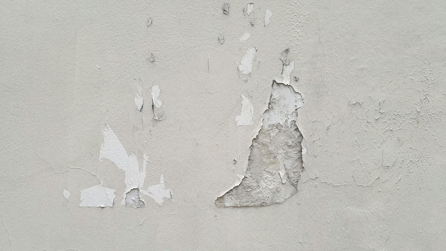 Peeling Wall Paint