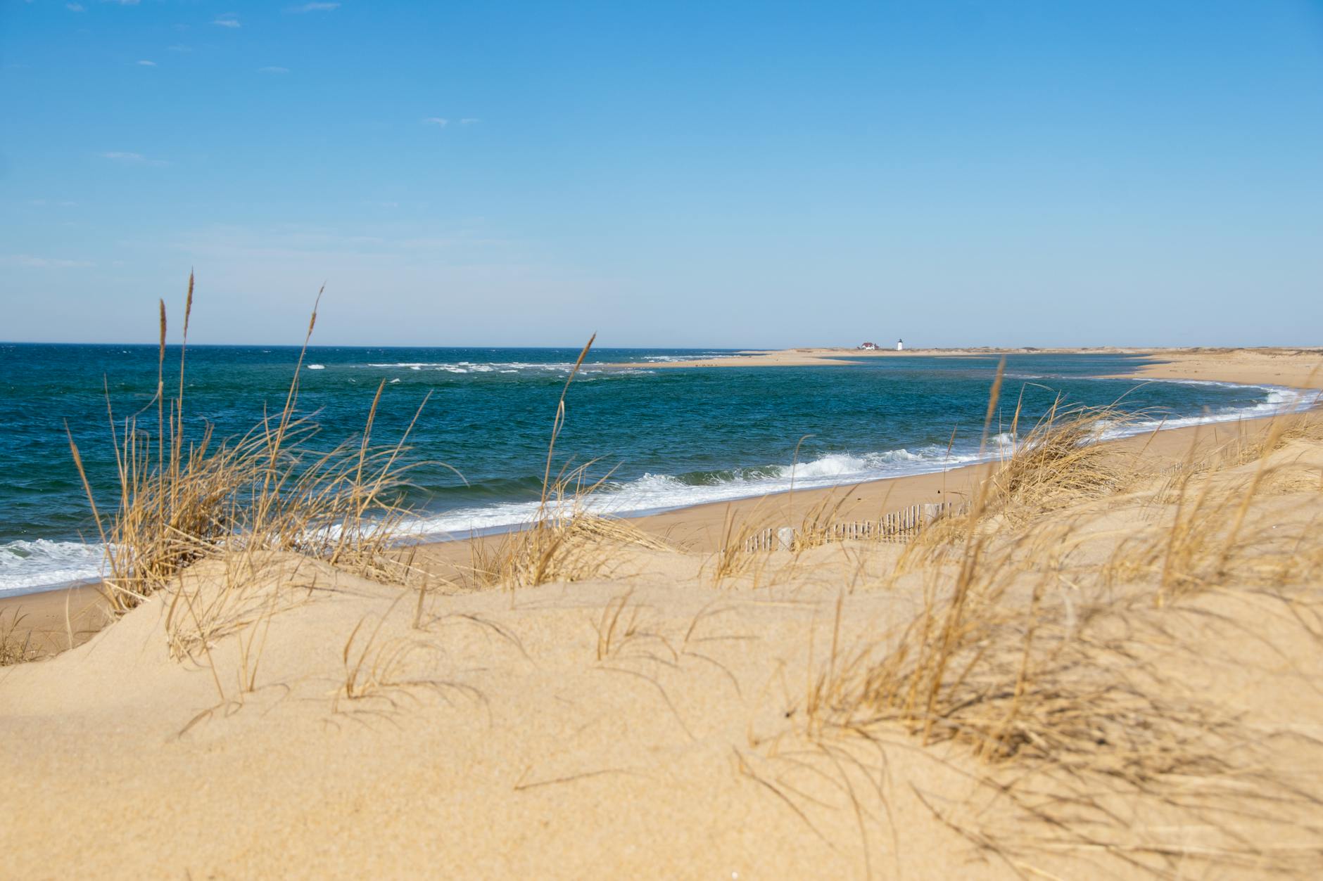 Cape Cod National Park