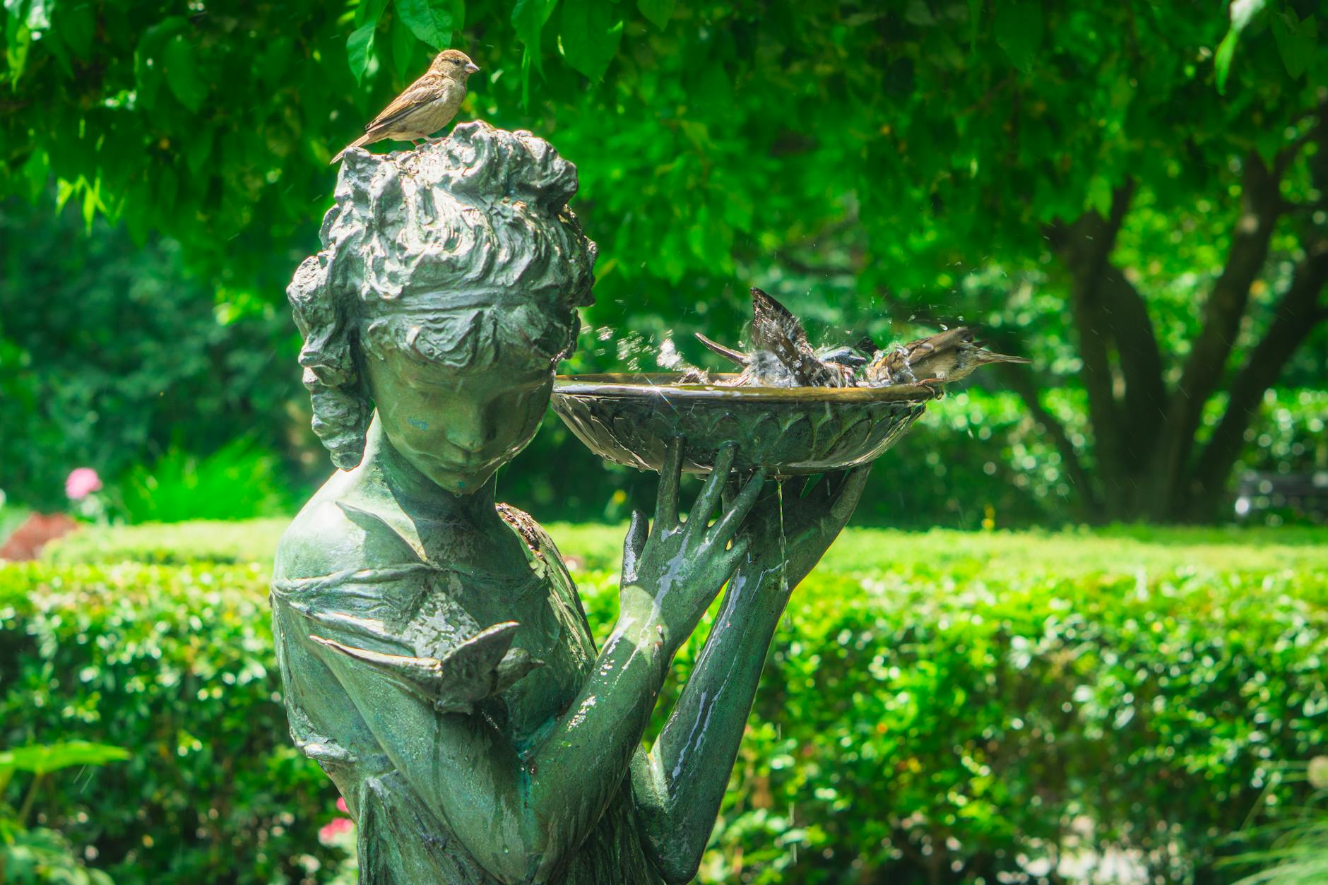 Bird Bath Sculpture