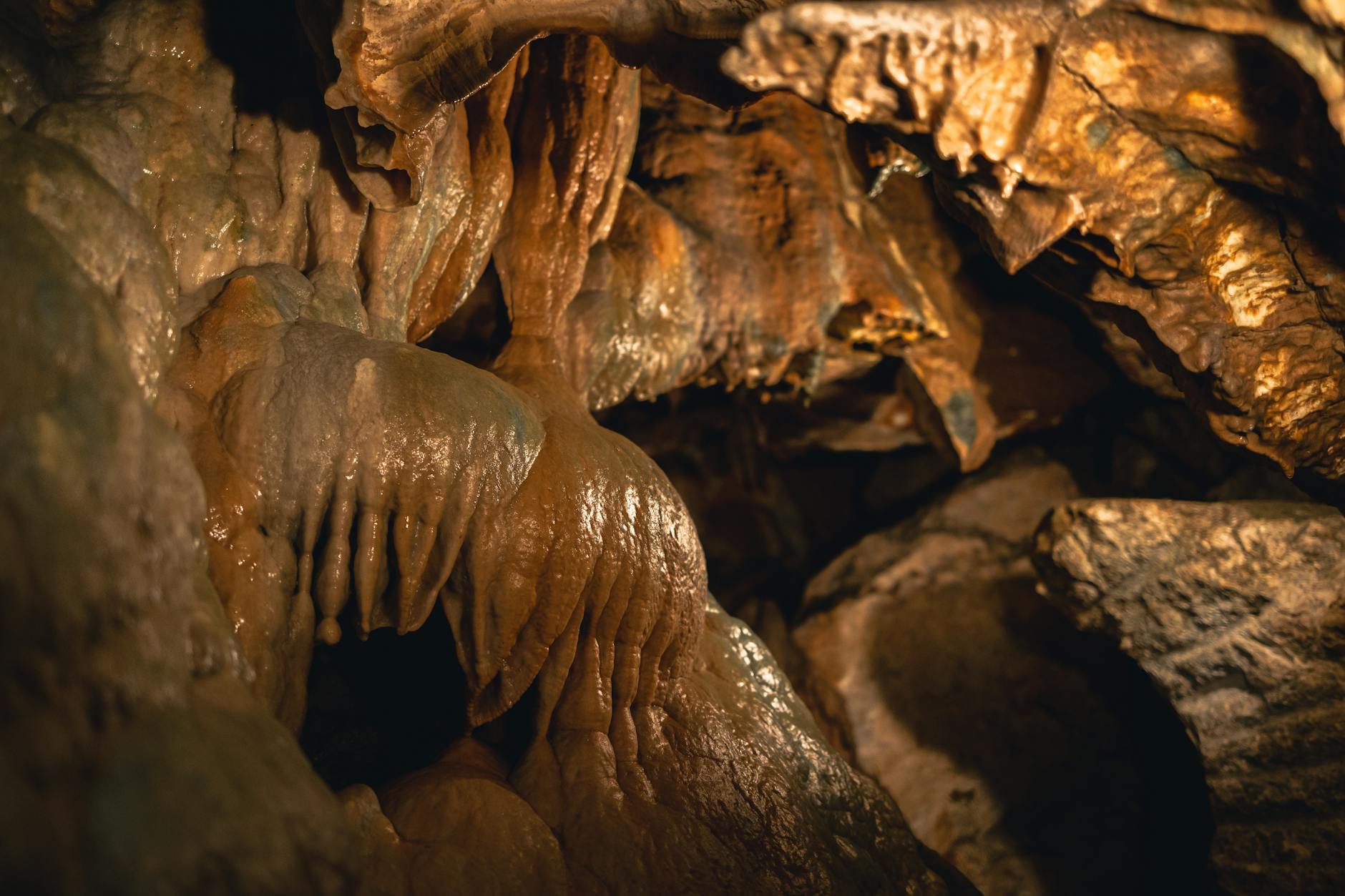 Mammoth Cave National Park