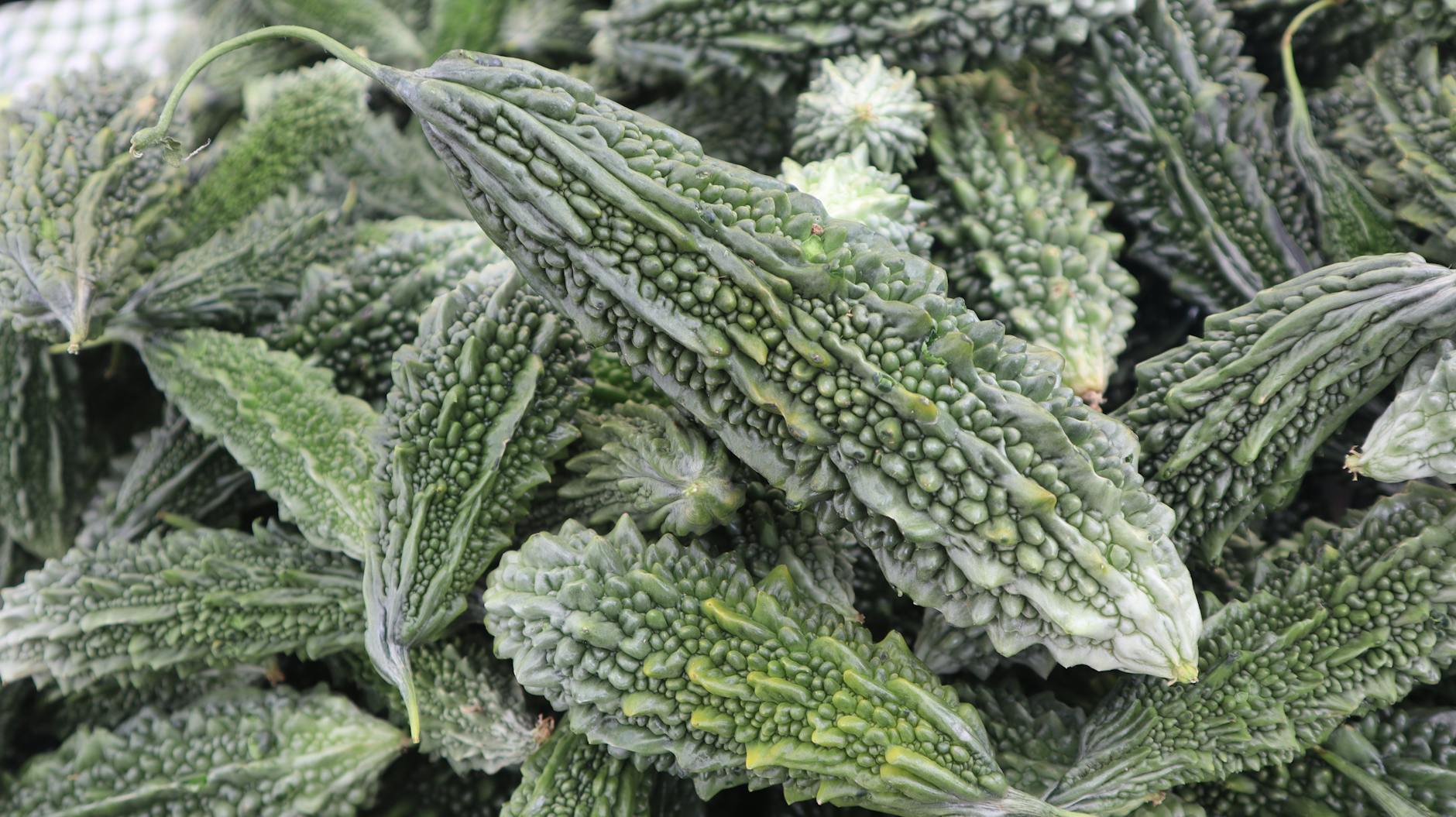 Bitter Melon Food