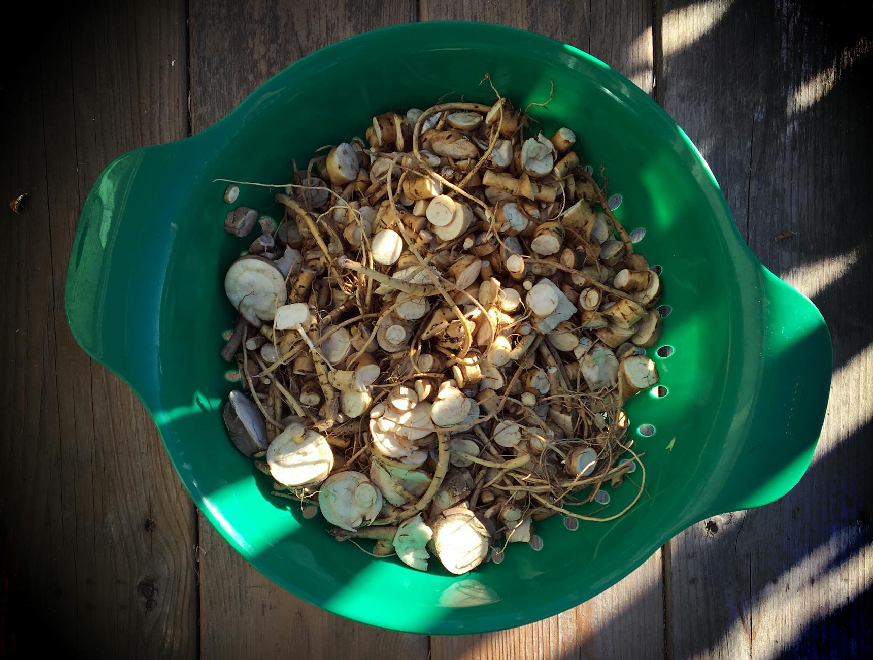 Marshmallow Root Tea