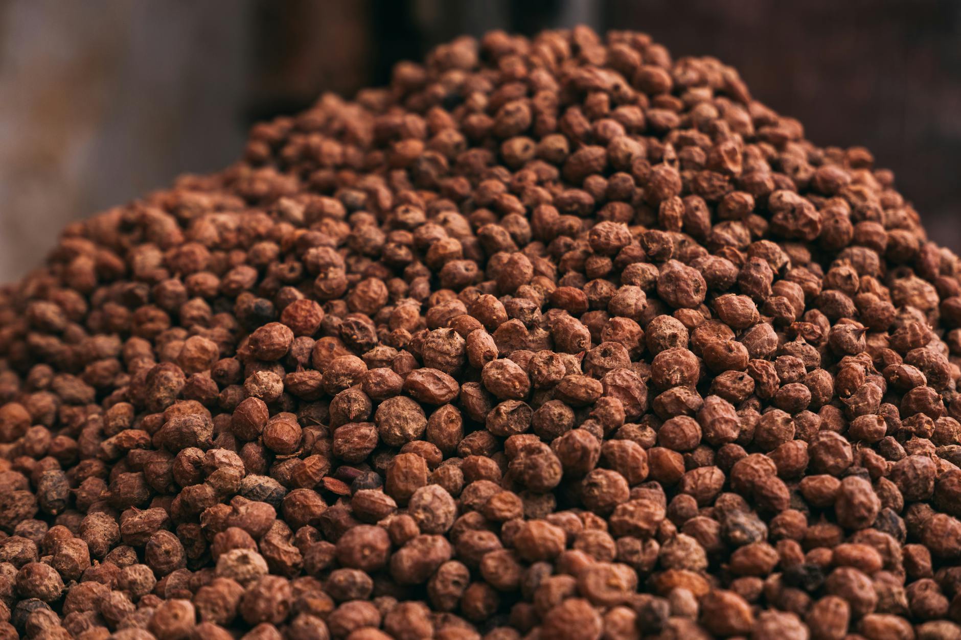 Cacao Nibs