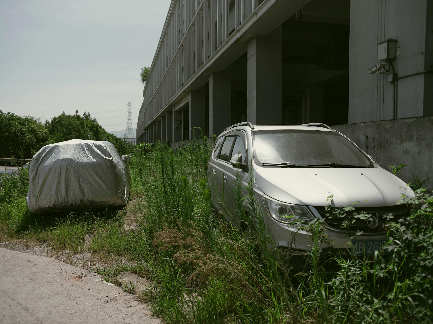Neglected Urban Park