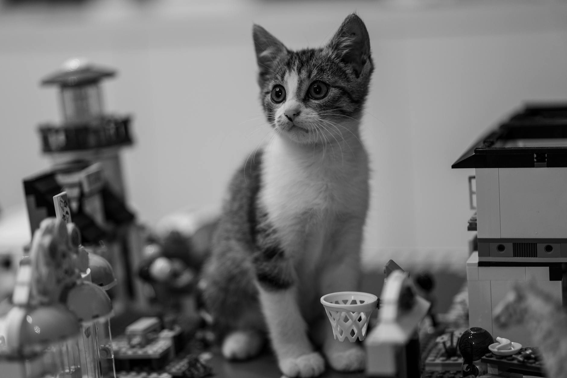 Lego Bricks Cleaning