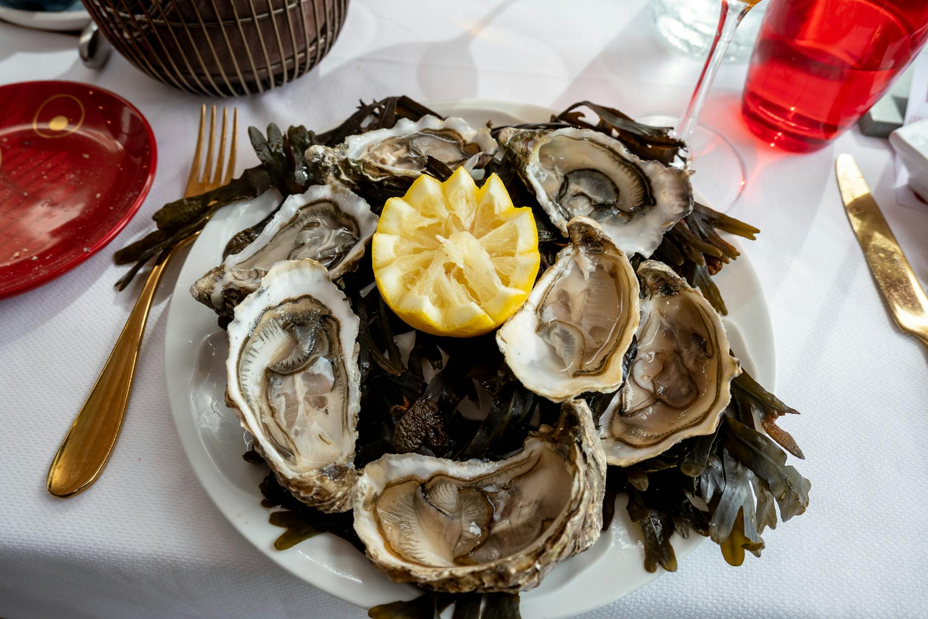 Oysters On A Plate