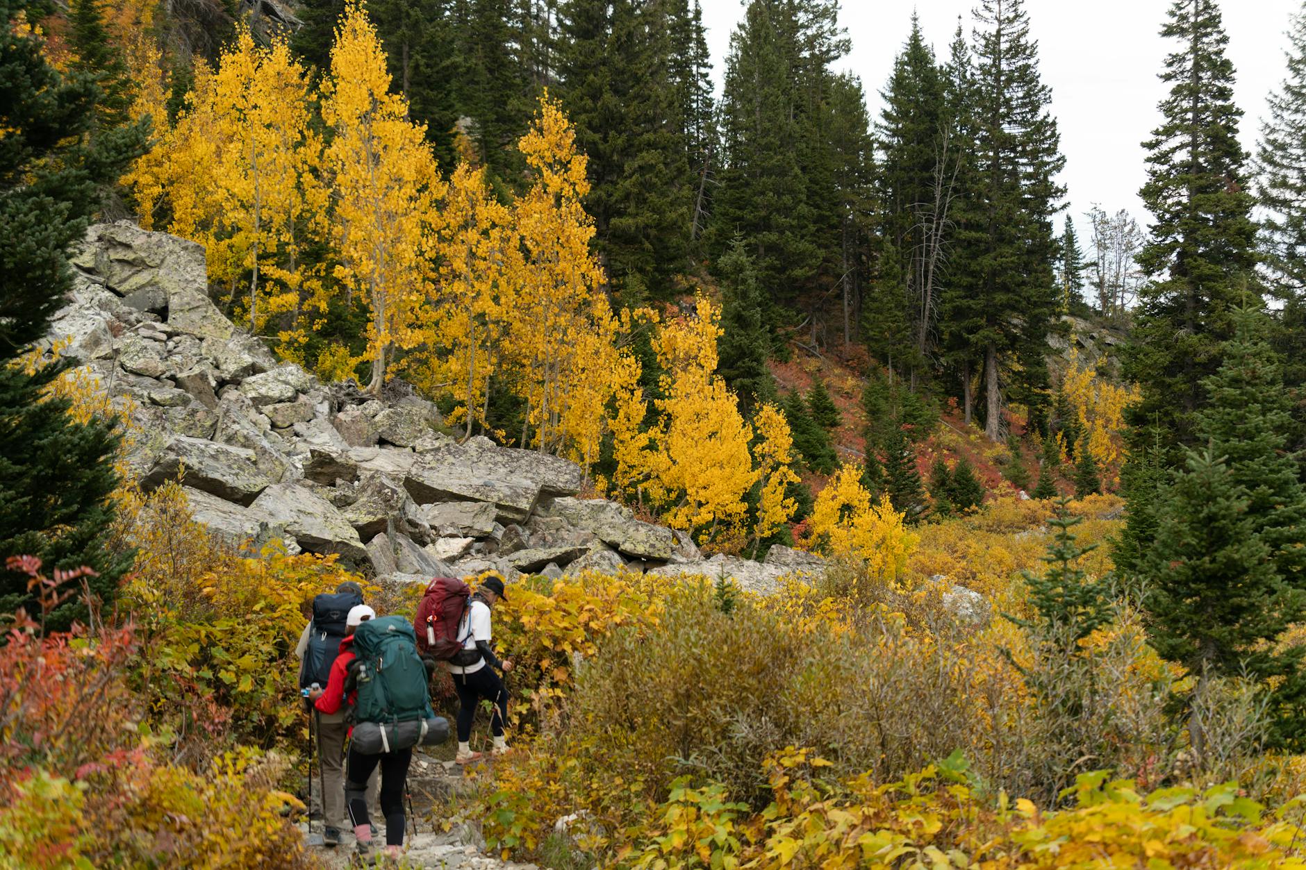Leaving The Trail National Park