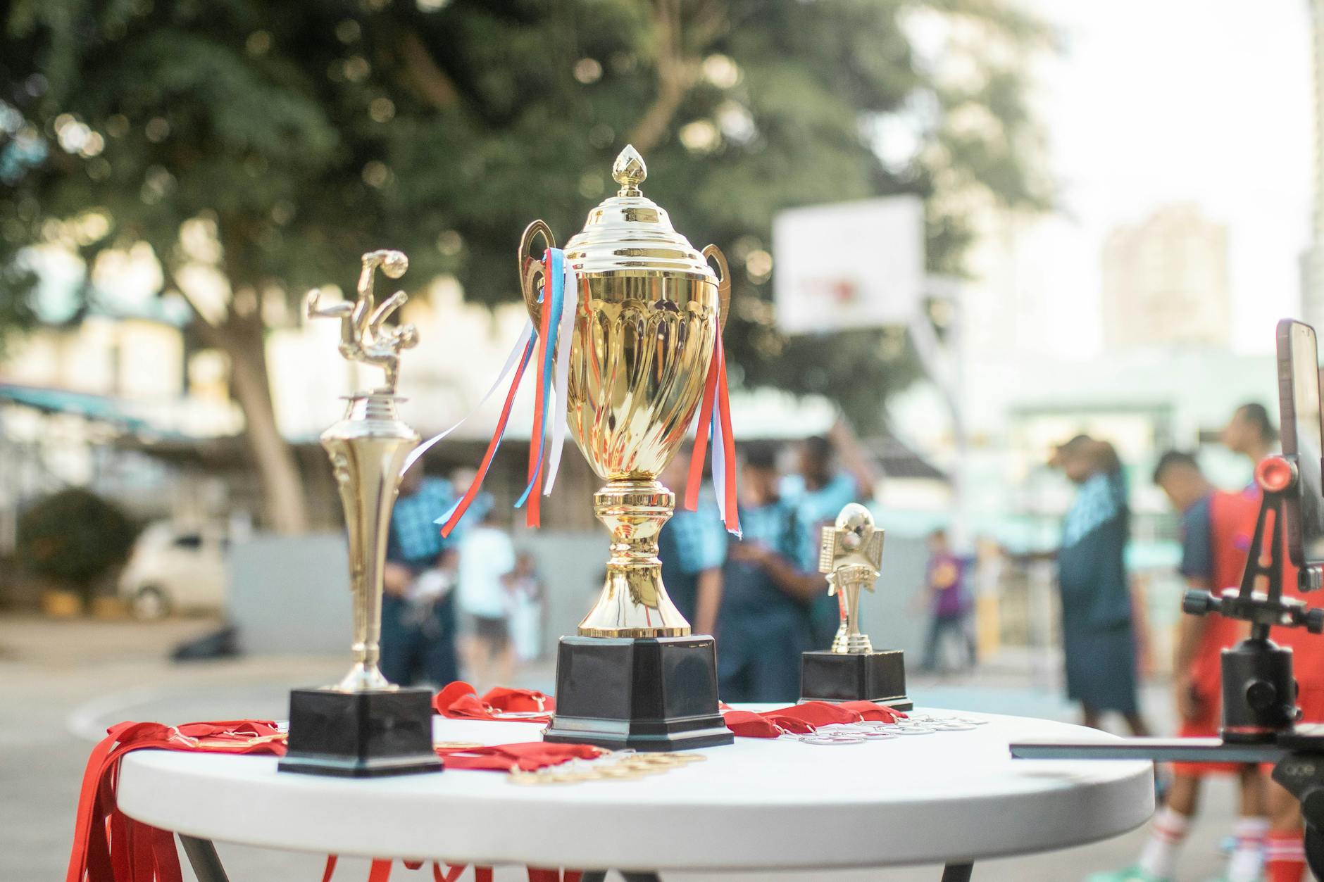 Trophy For Participation