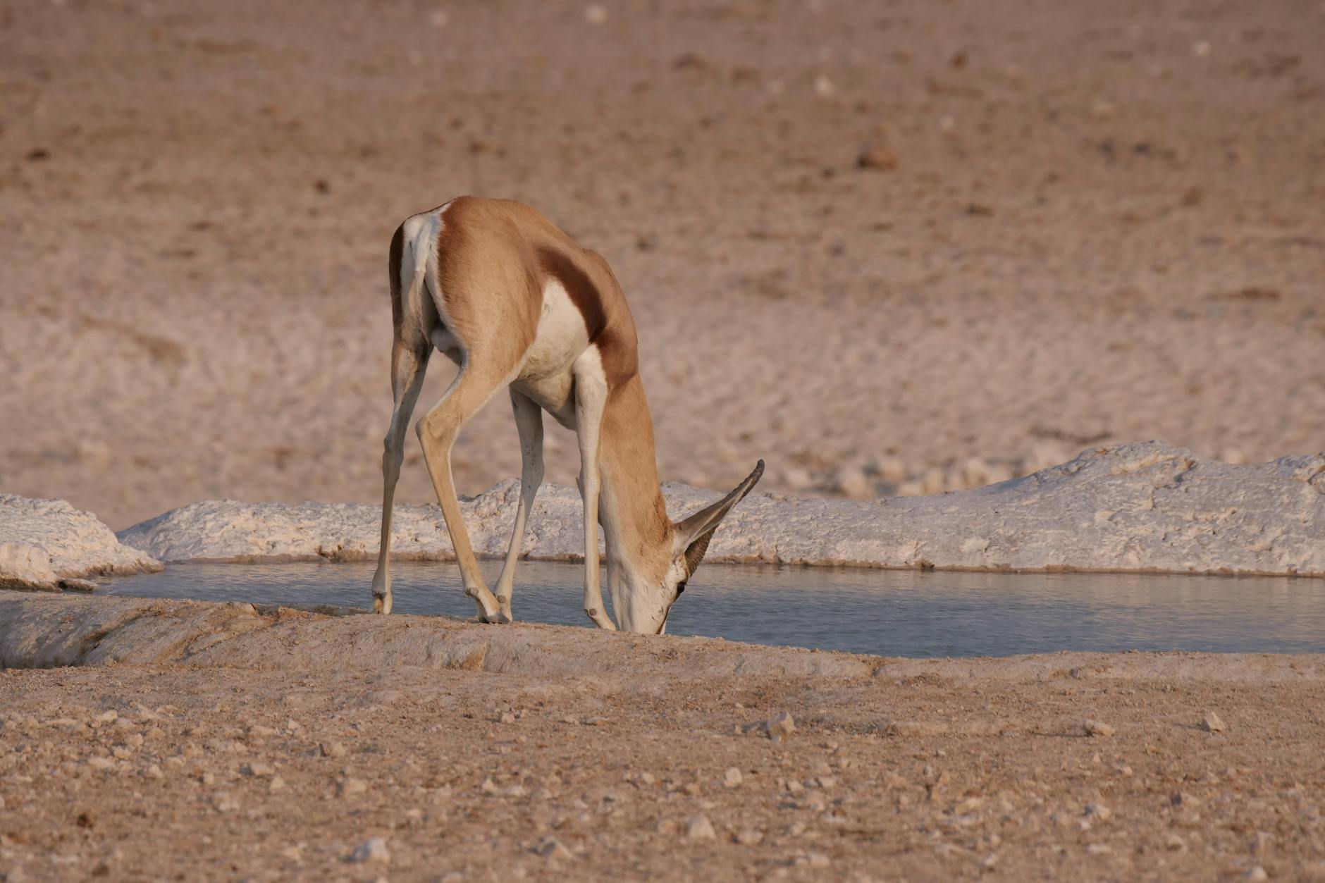 Water Sources National Park