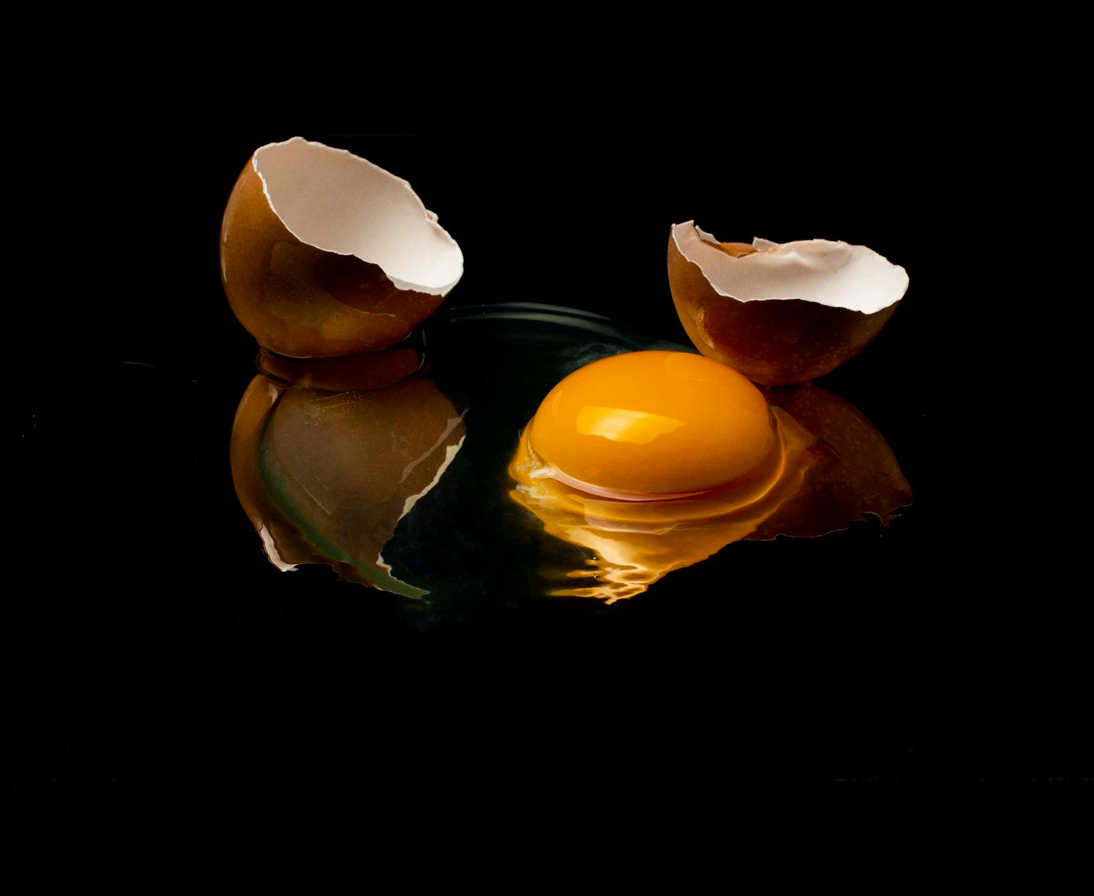 Egg Shells Food