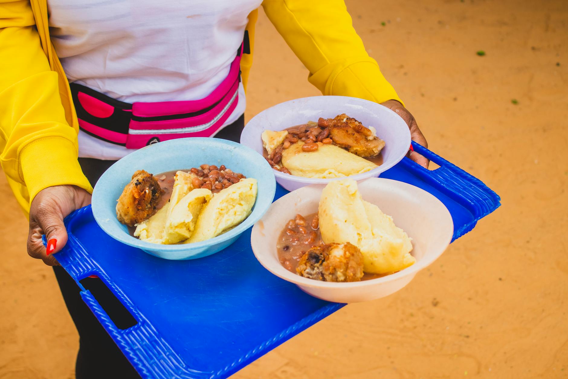 Protein Distribution Meal