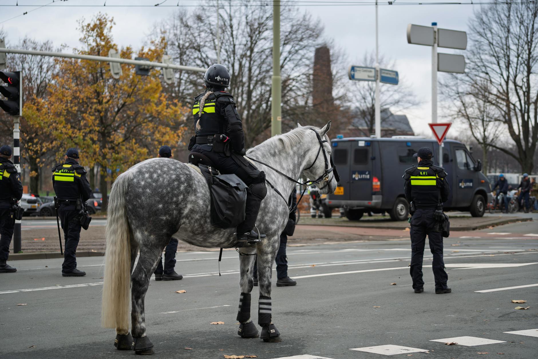 Frequent Police Presence Signs