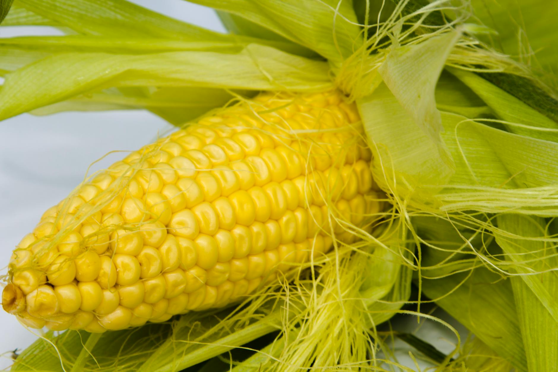 Sweet Corn Vegetable
