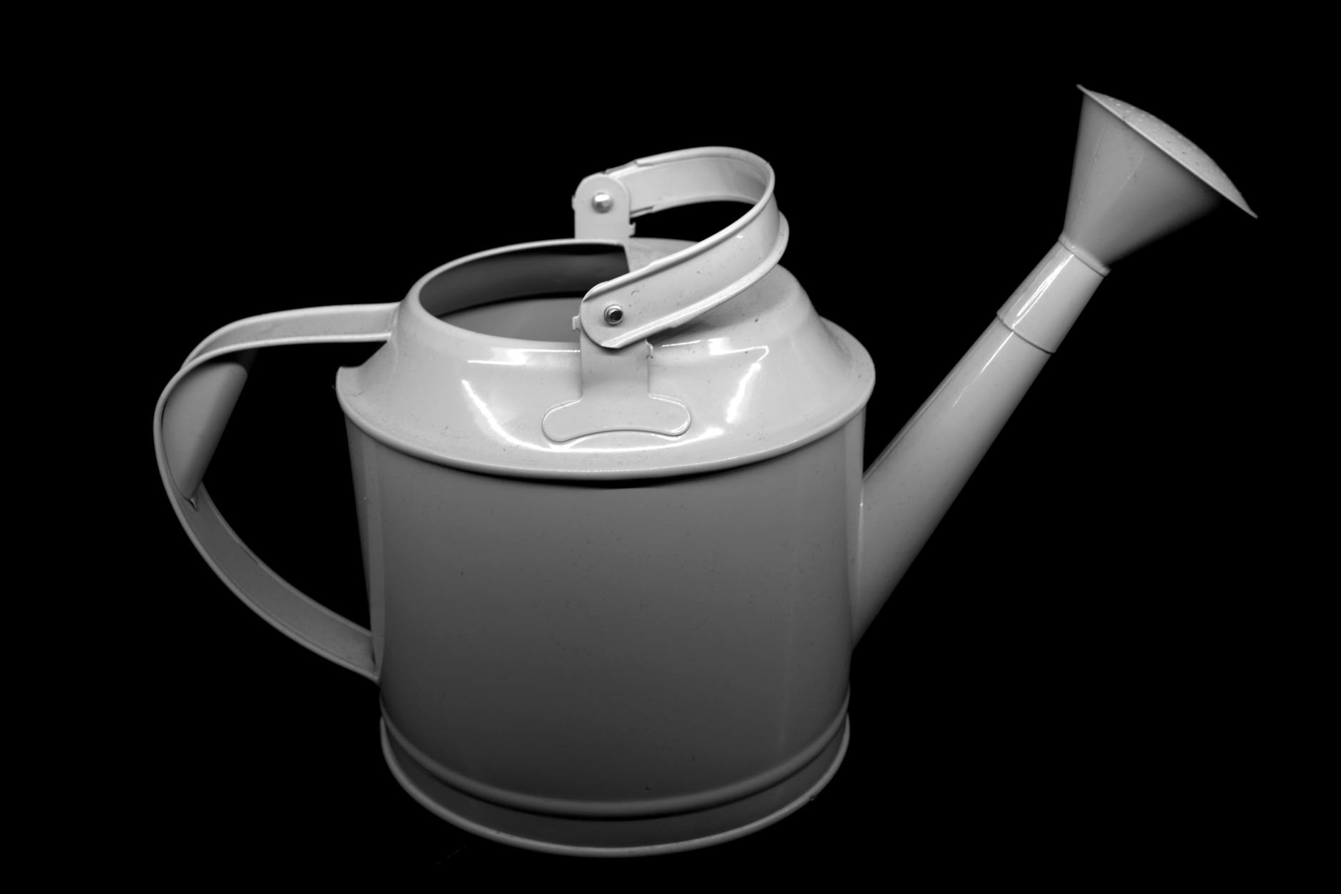 Watering Can At Sunrise