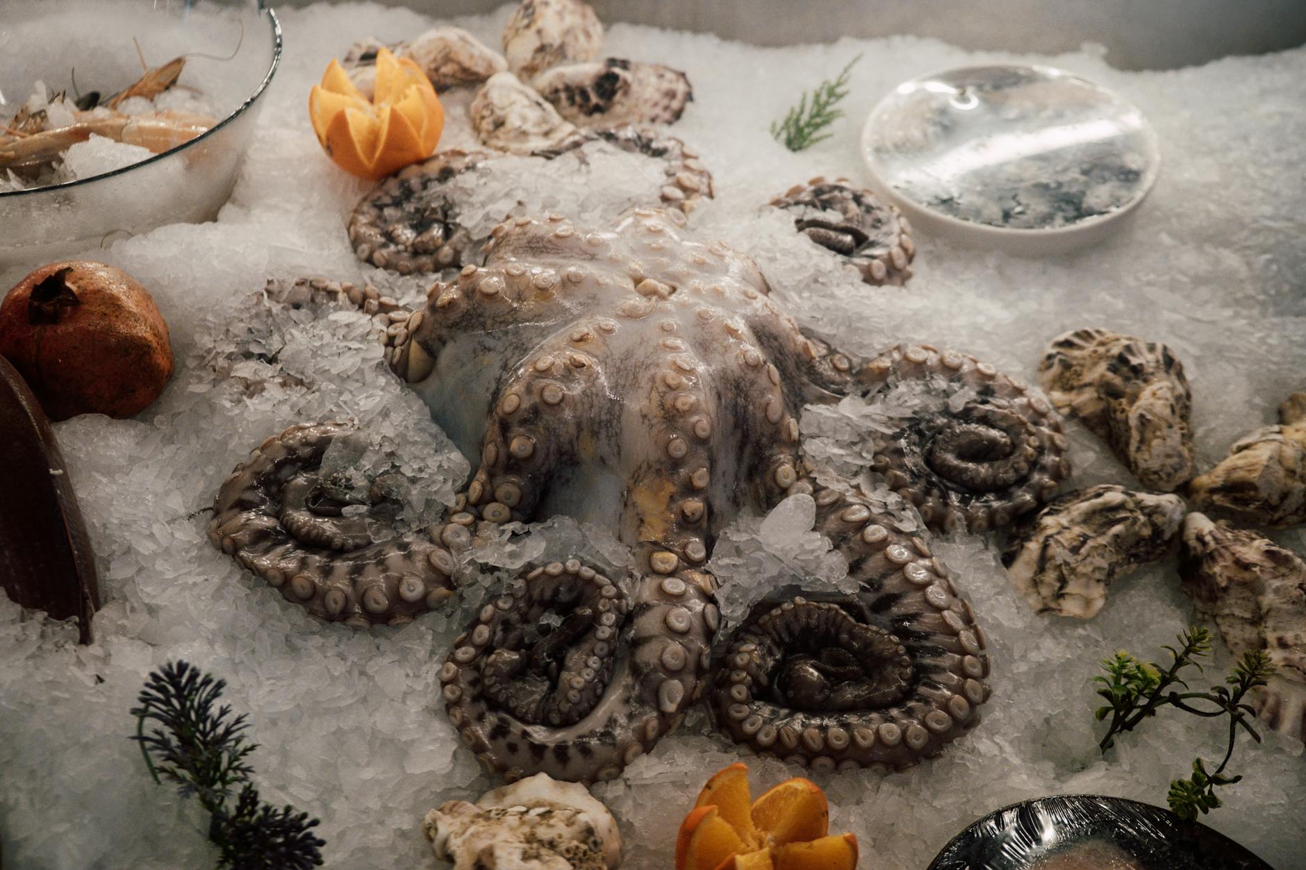 Ice Seafood Display