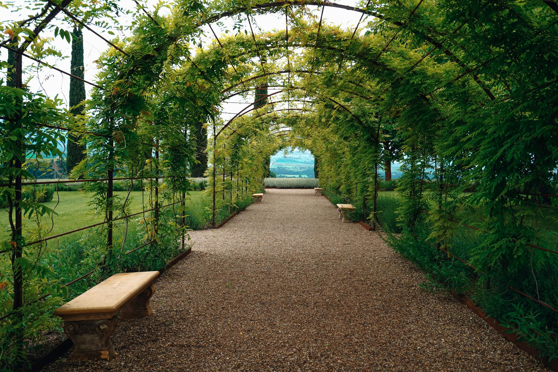 Living Archways Garden+plants