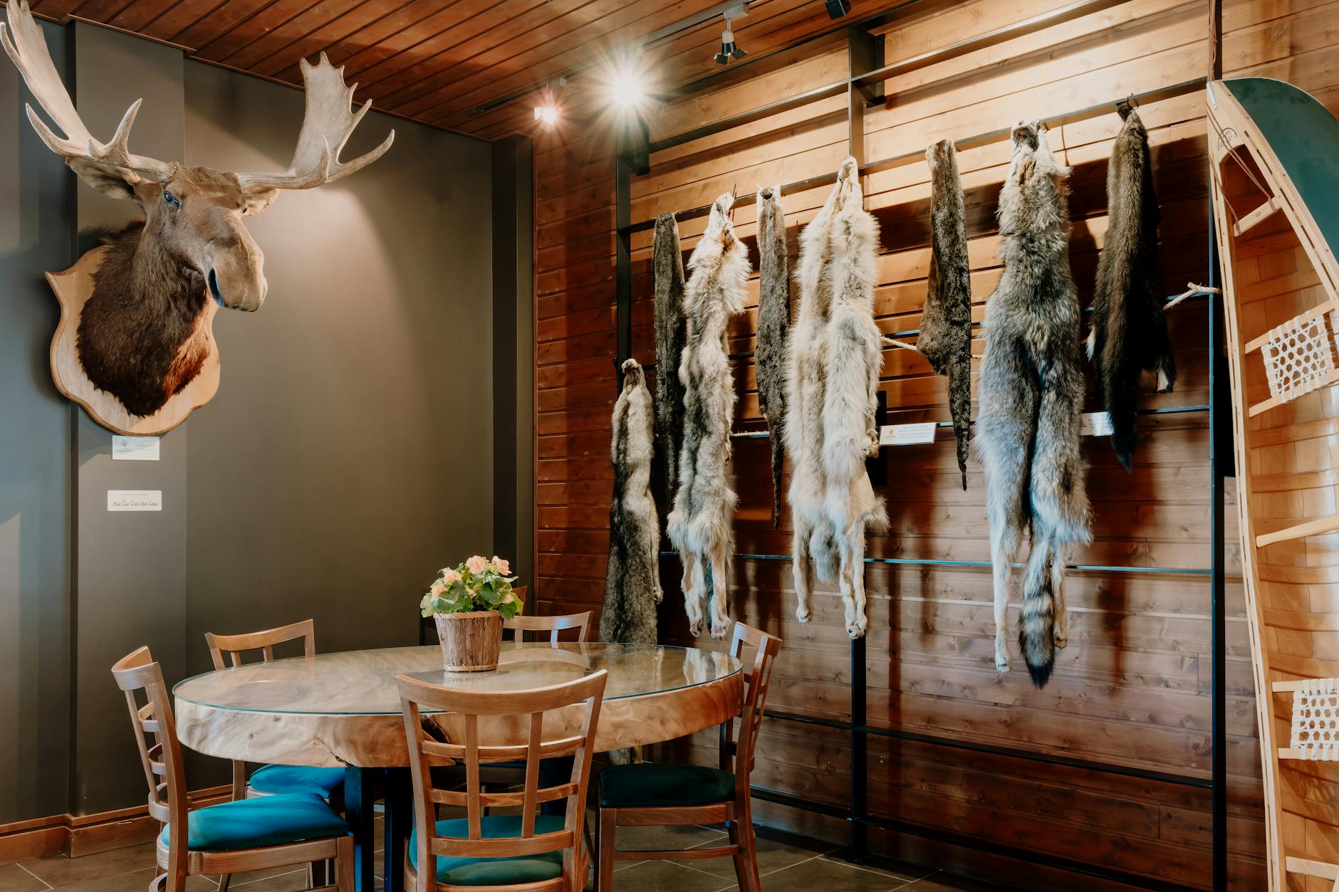 Themed Interior Spaces