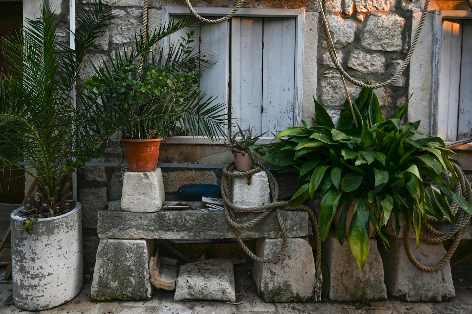 Rope Lighting Garden+plants