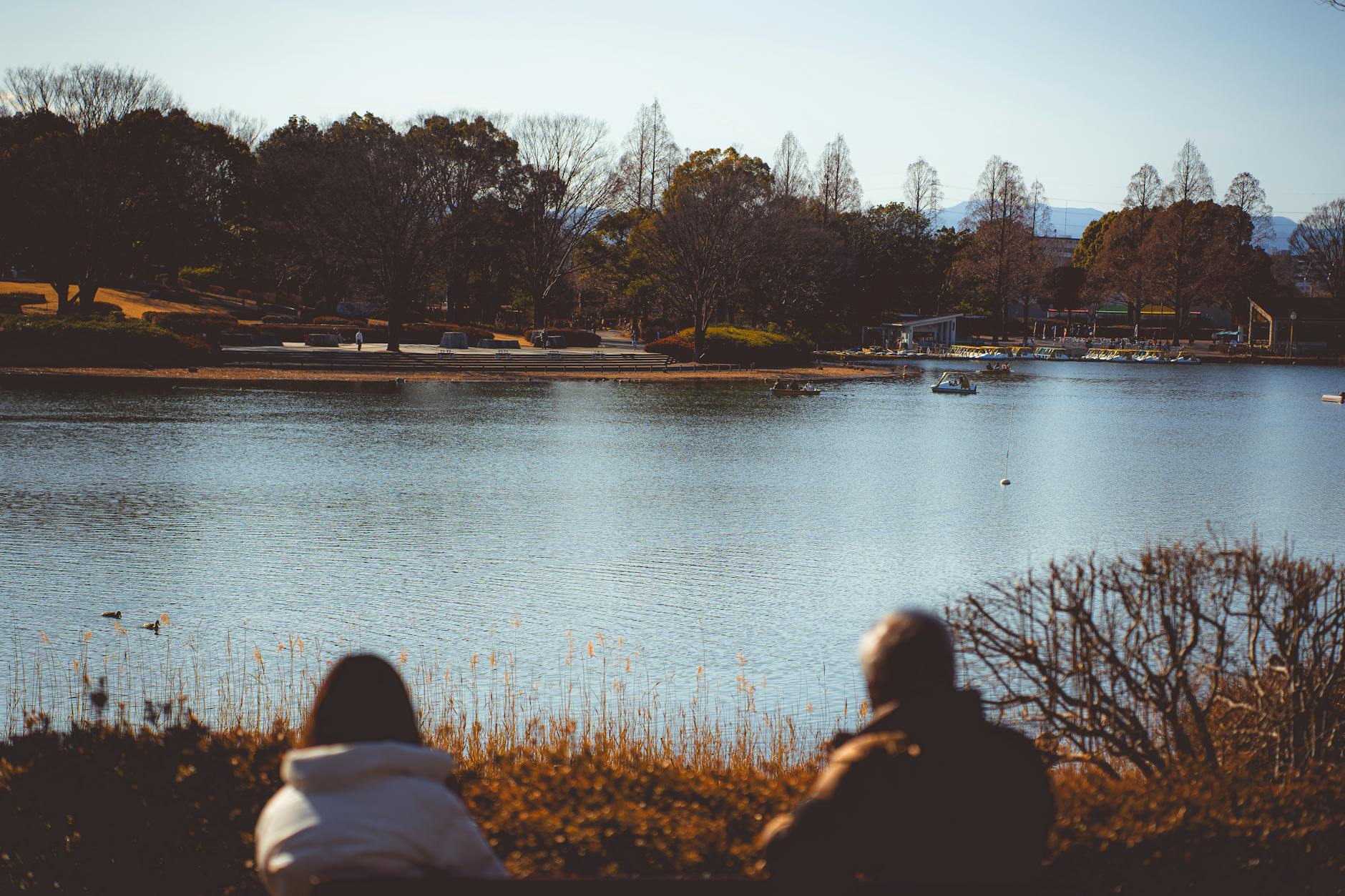 Shortcutting National Park