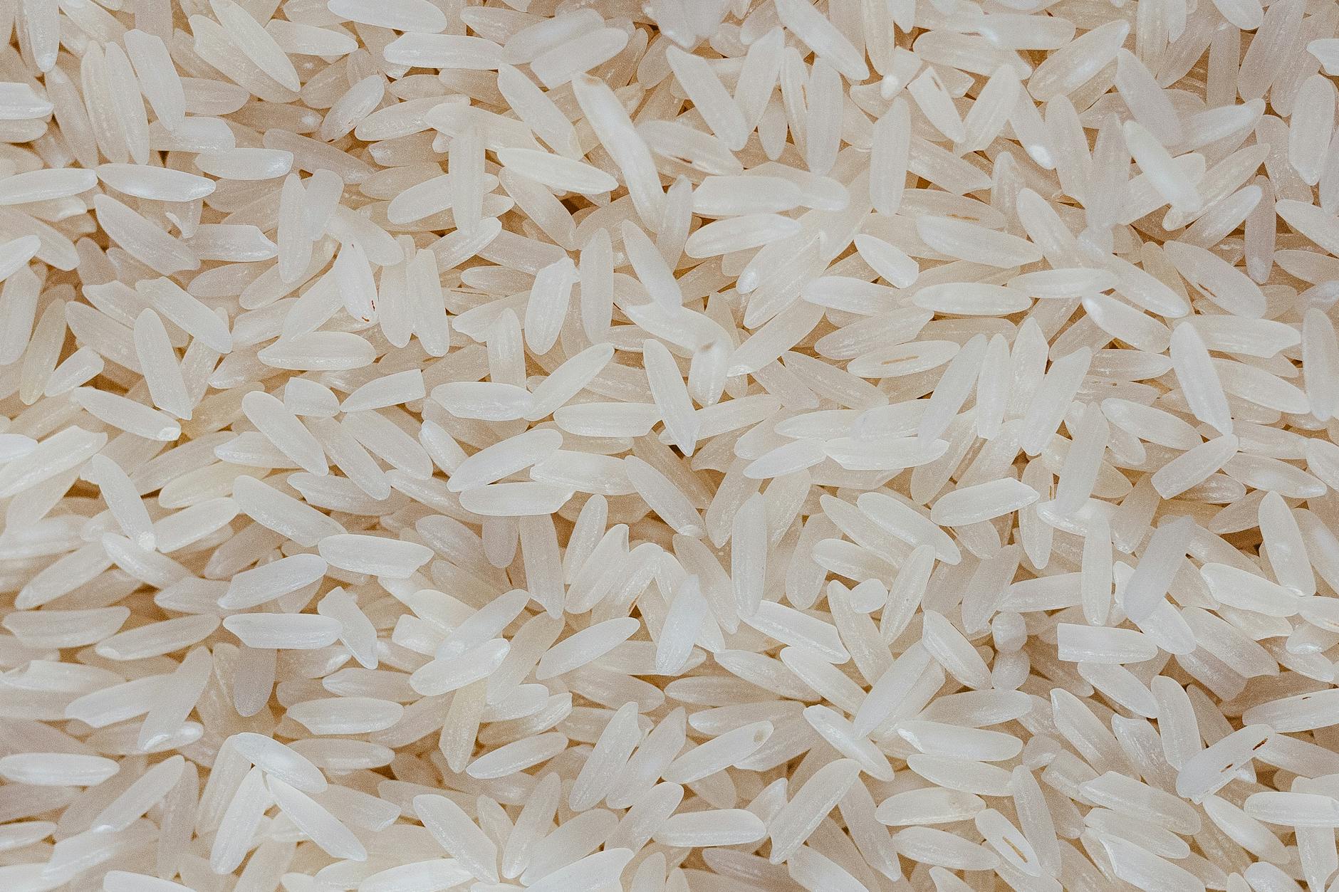 Jasmine Rice Food