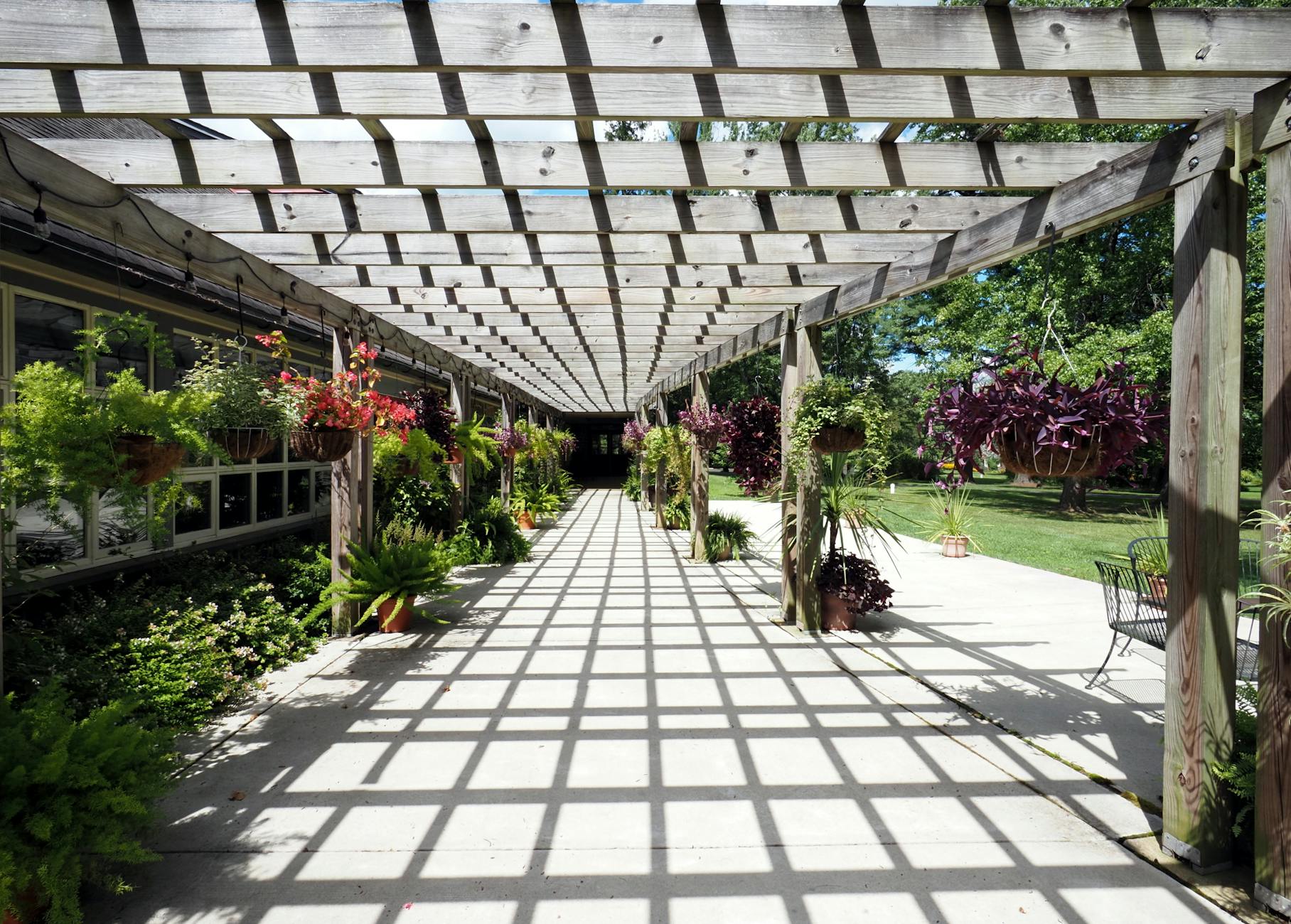 pergola Garden+plants