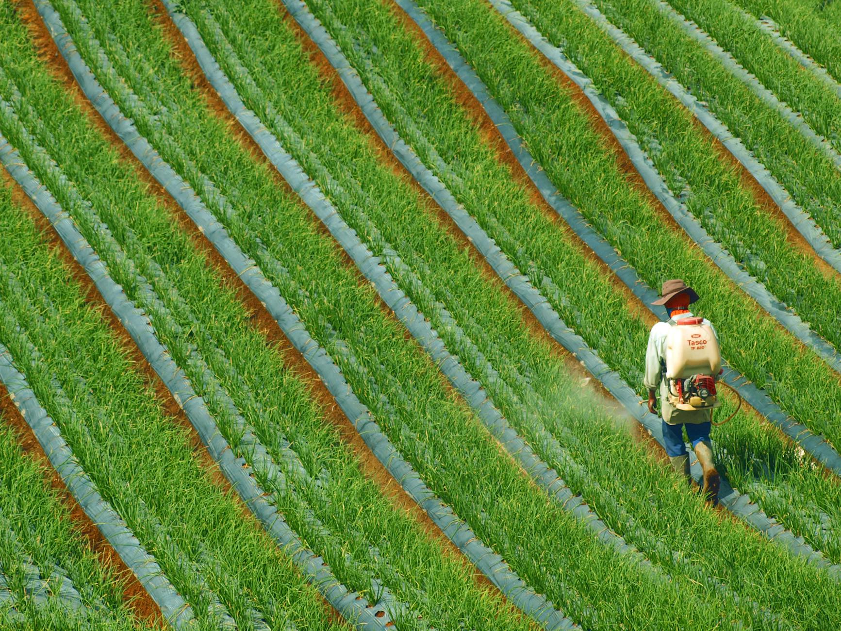 Pesticides And Herbicides