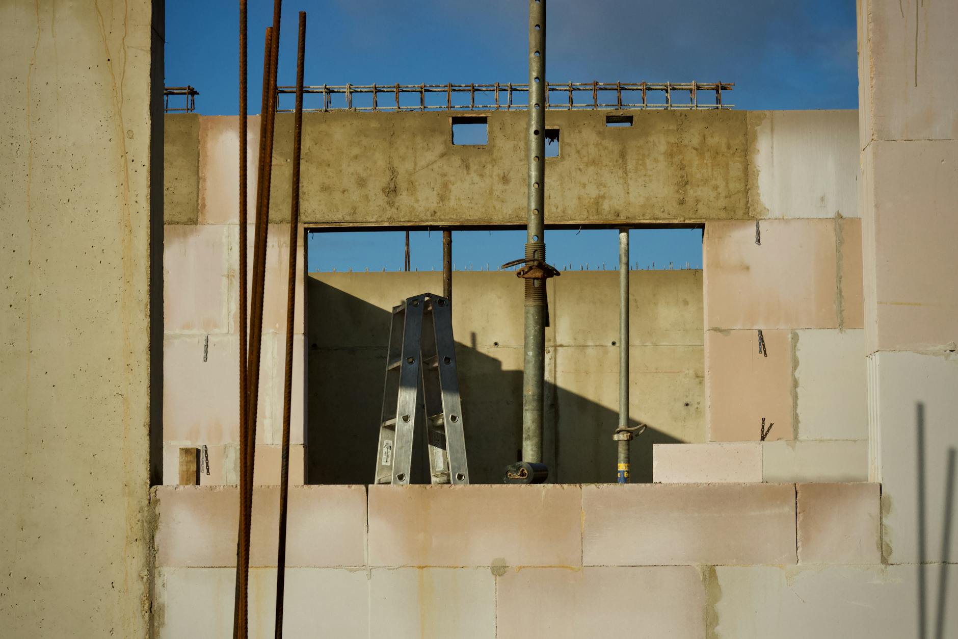 Untrimmed Foundation Plantings