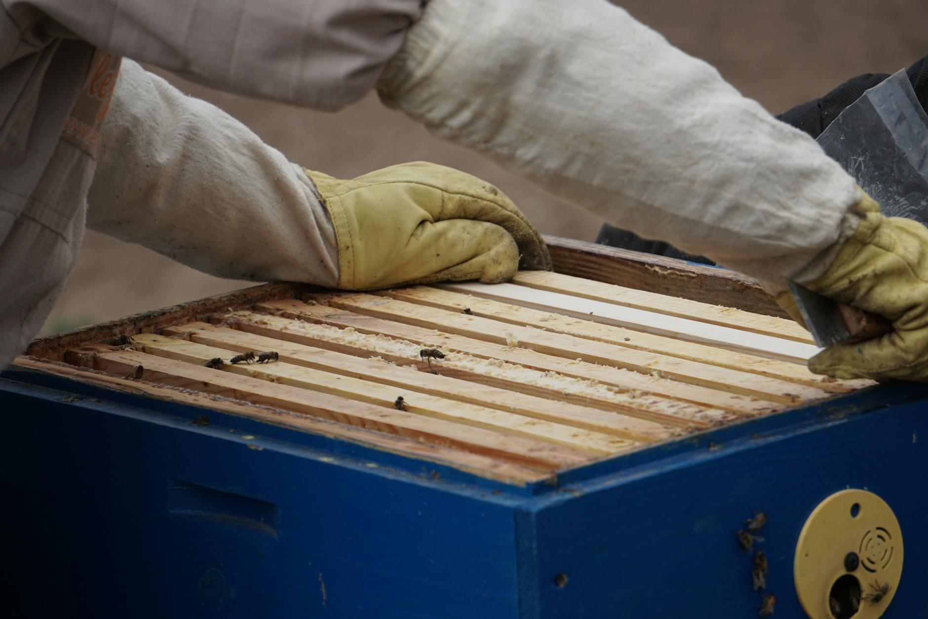 Beekeeping Work