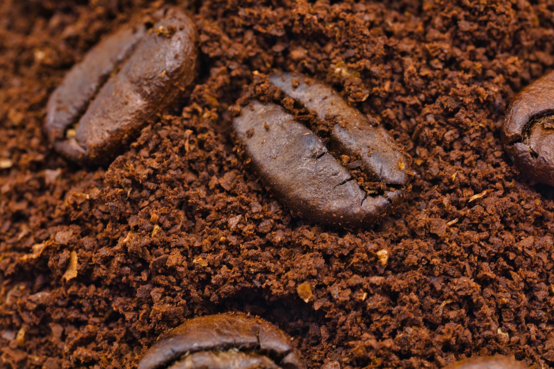 Coffee Grounds