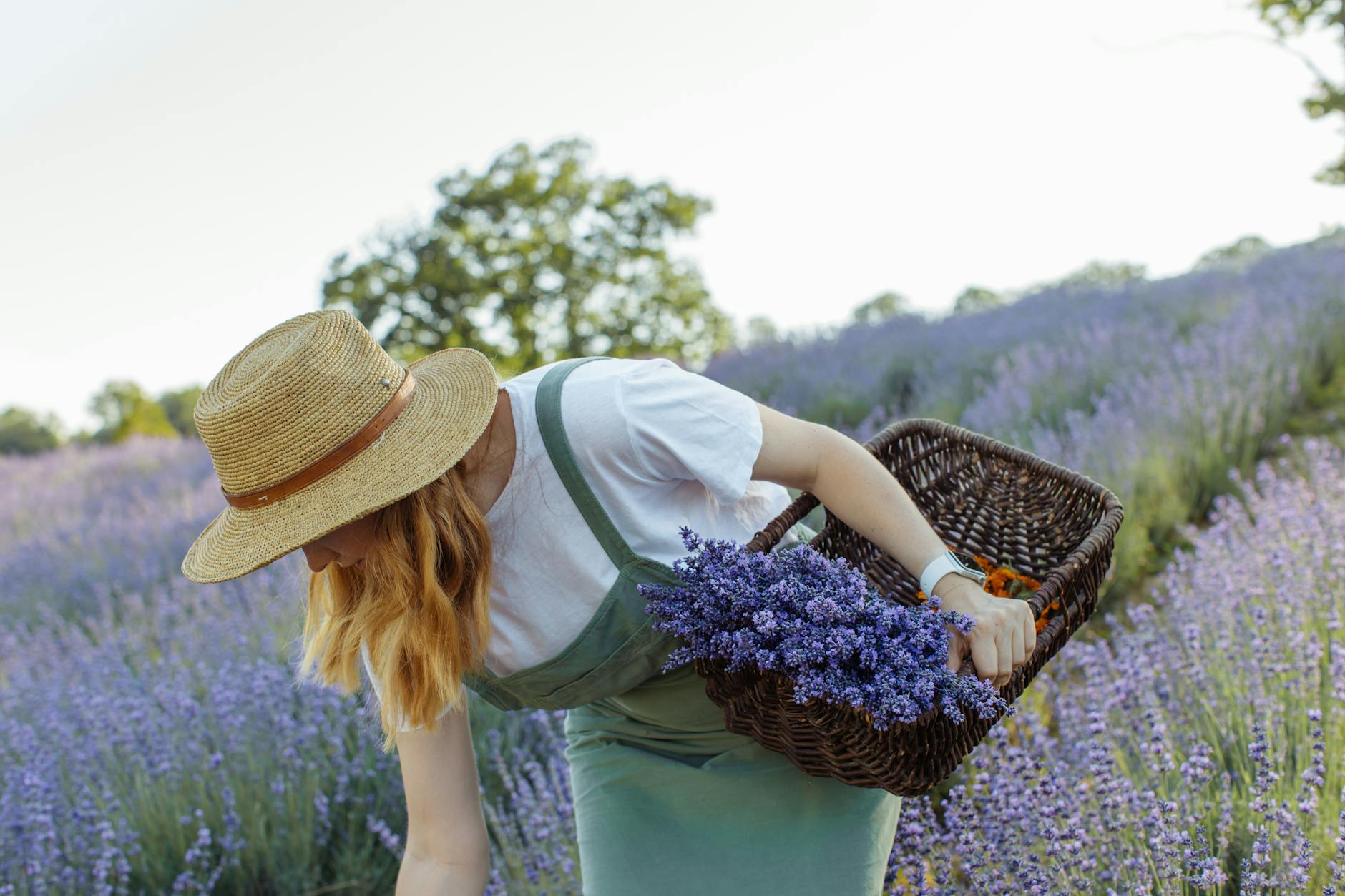 Picking Wildflowers Things