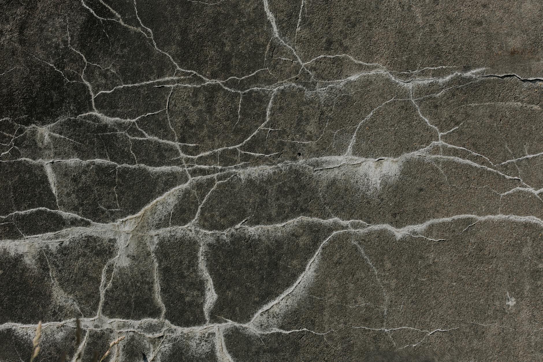 Cracked Driveway Surface