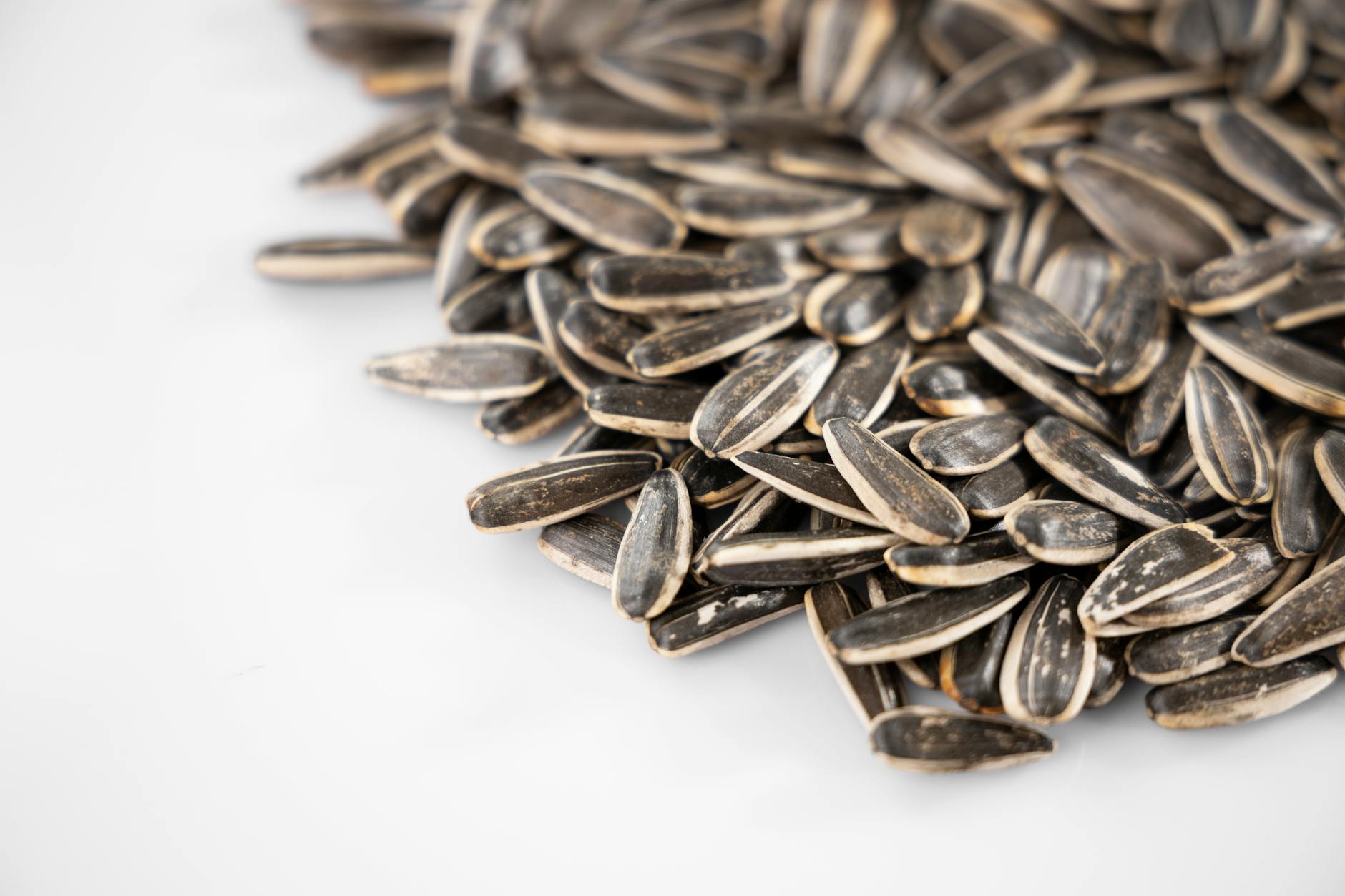 Sunflower Seeds Food