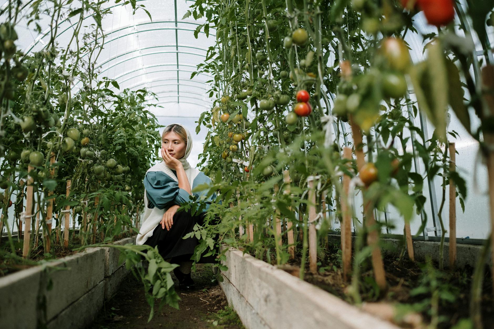 Home Vegetable Garden
