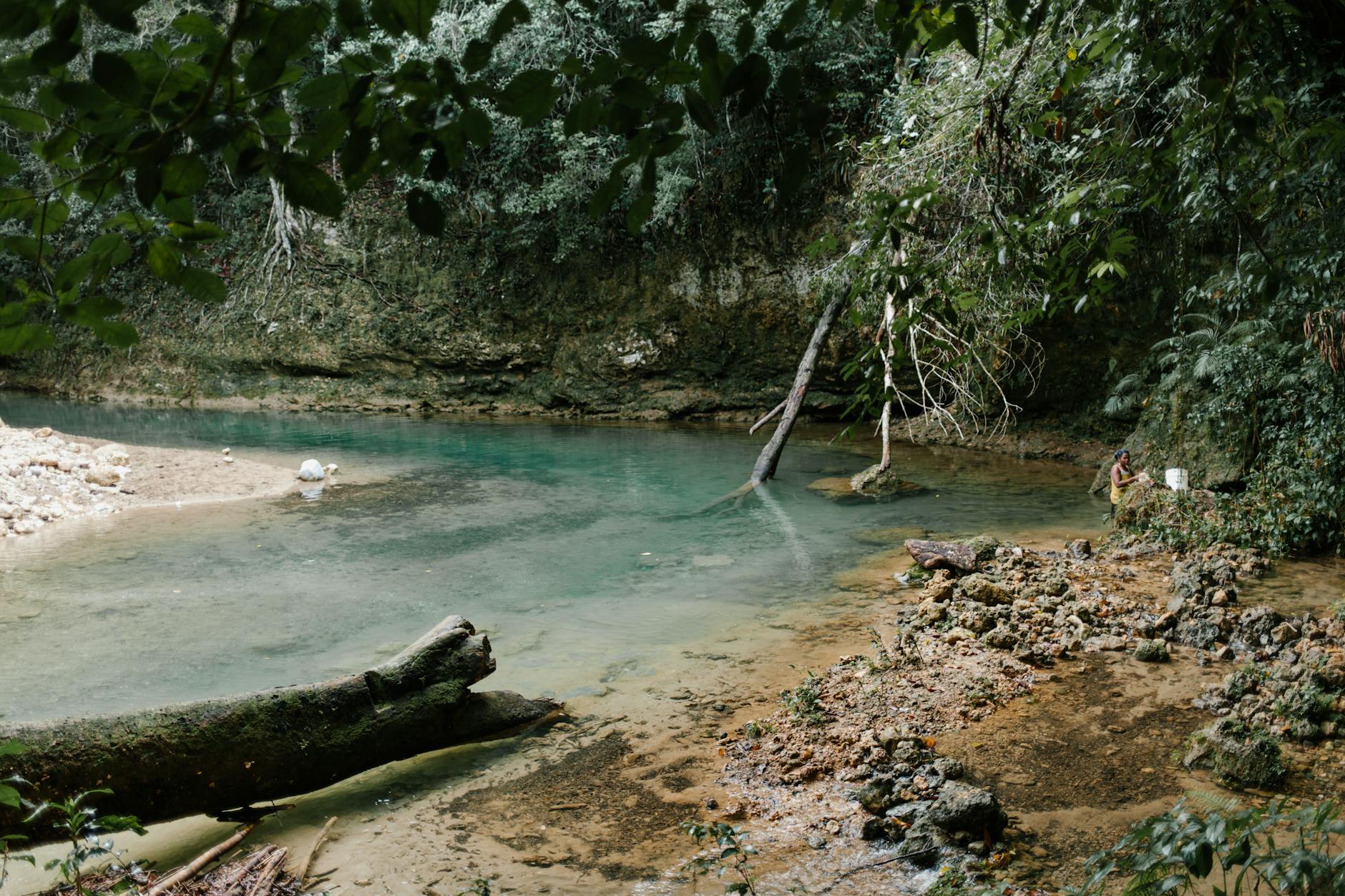 Forest Bathing Experience