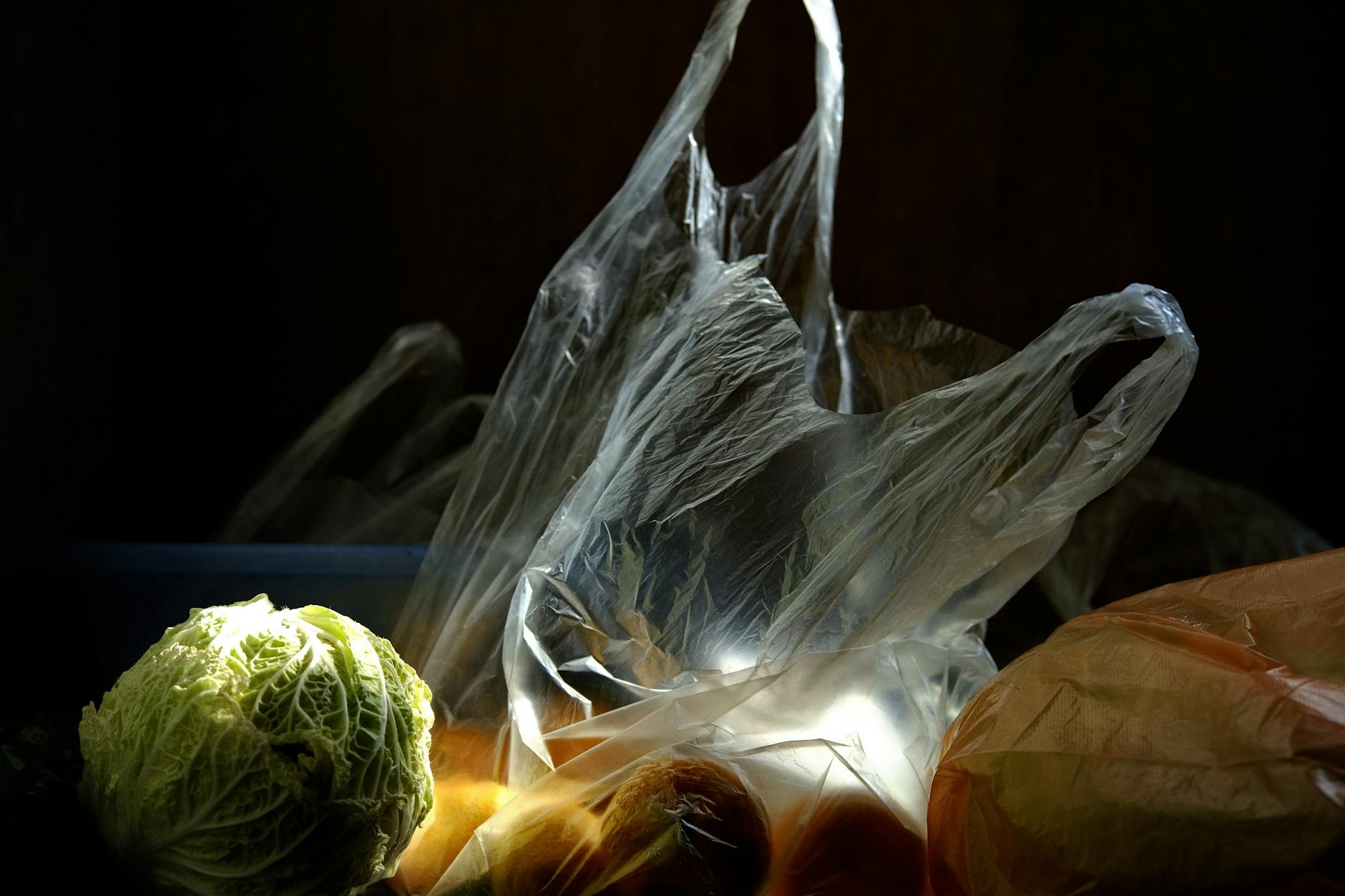 Plastic Produce Bags