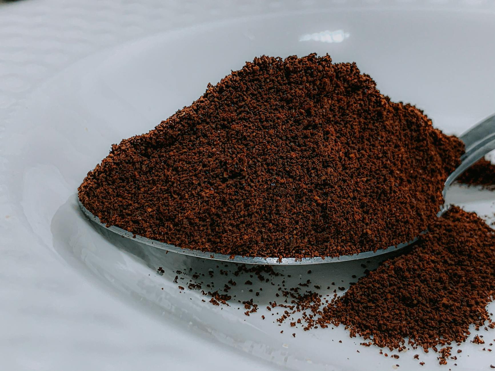 Coffee Grounds Scent